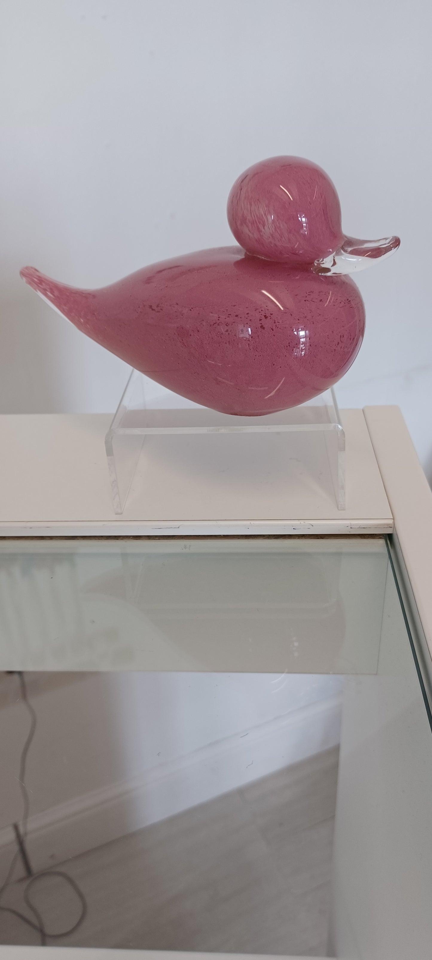Glass Duck