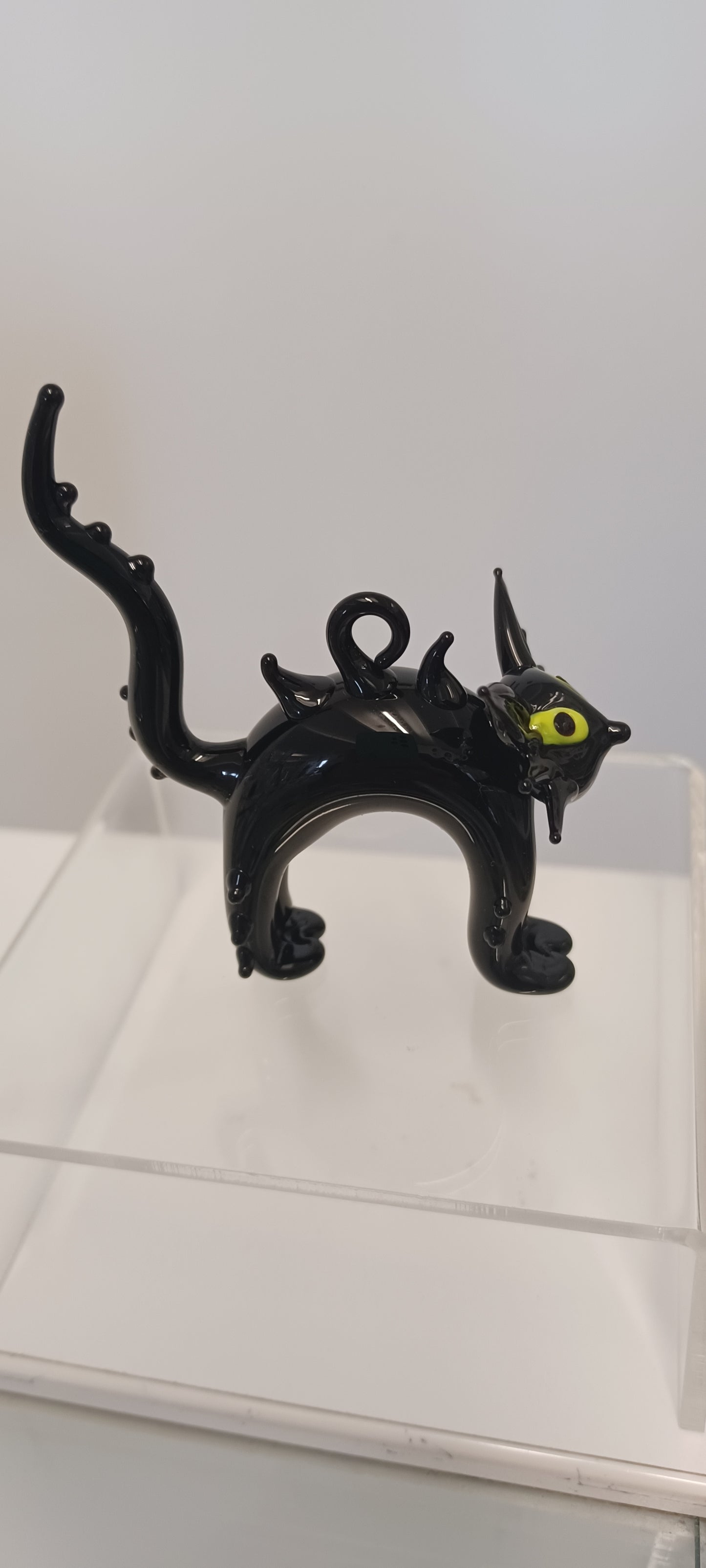Glass Cat