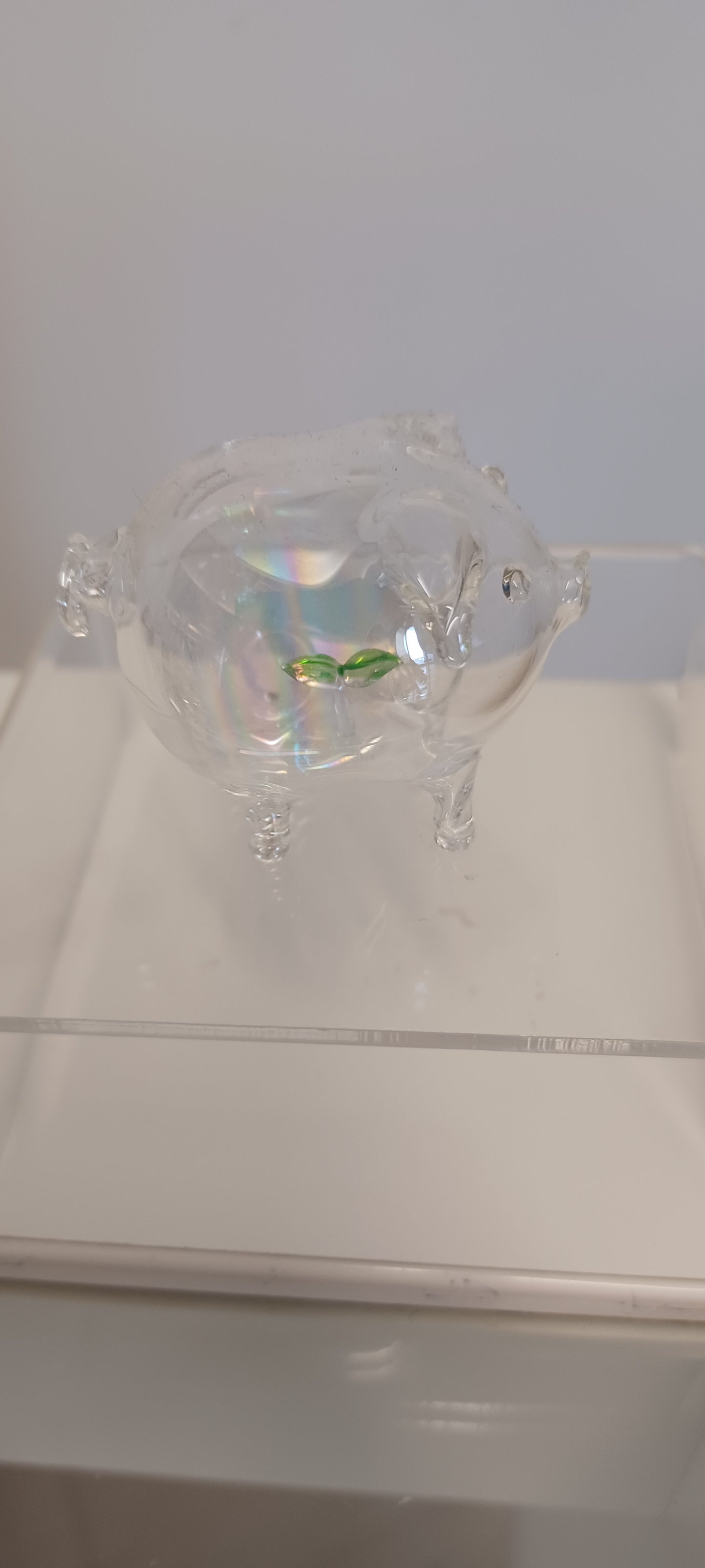 Glass Pig