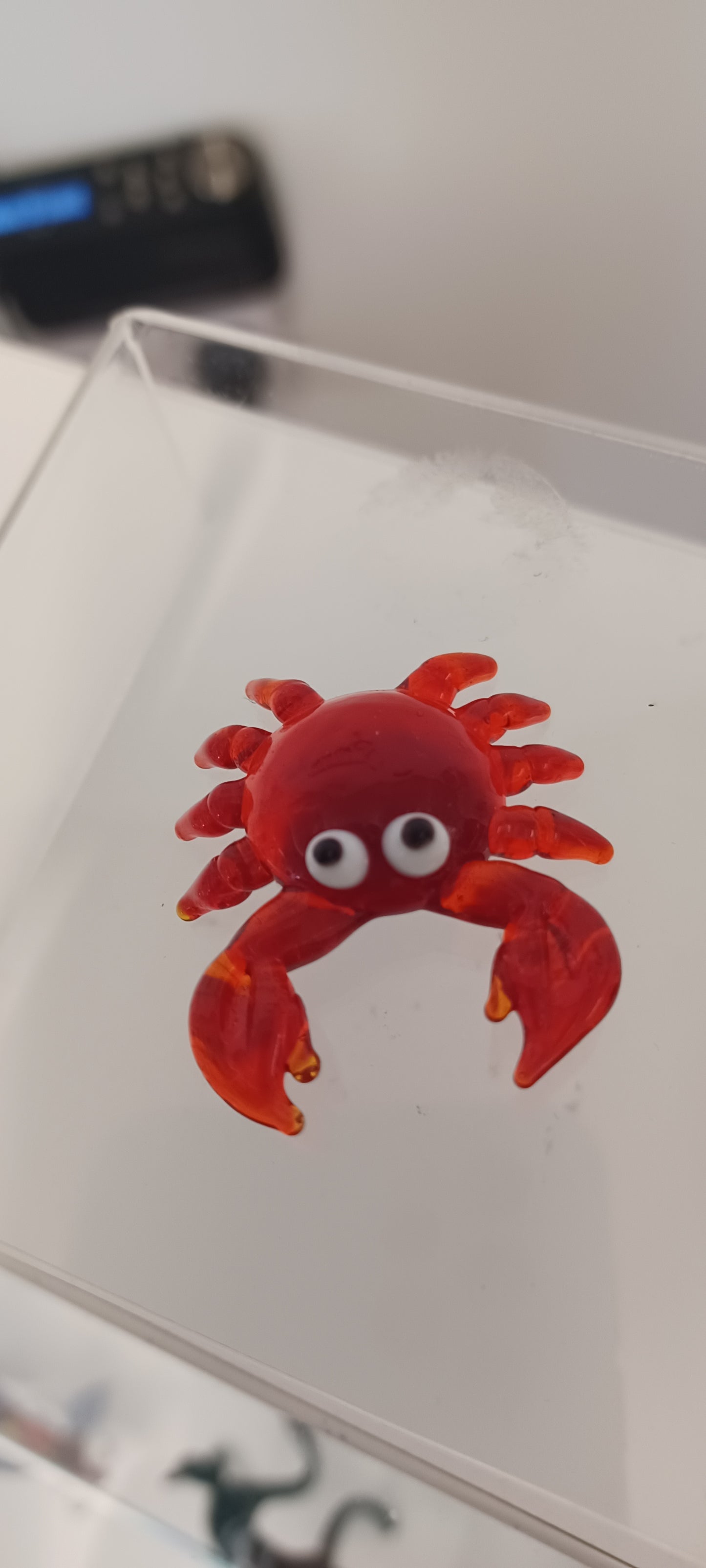 Glass Crab