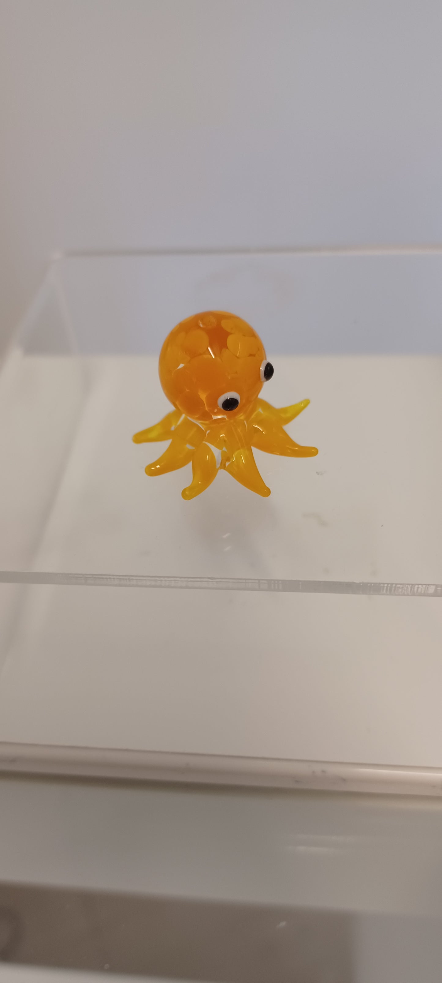 Glass Octopus