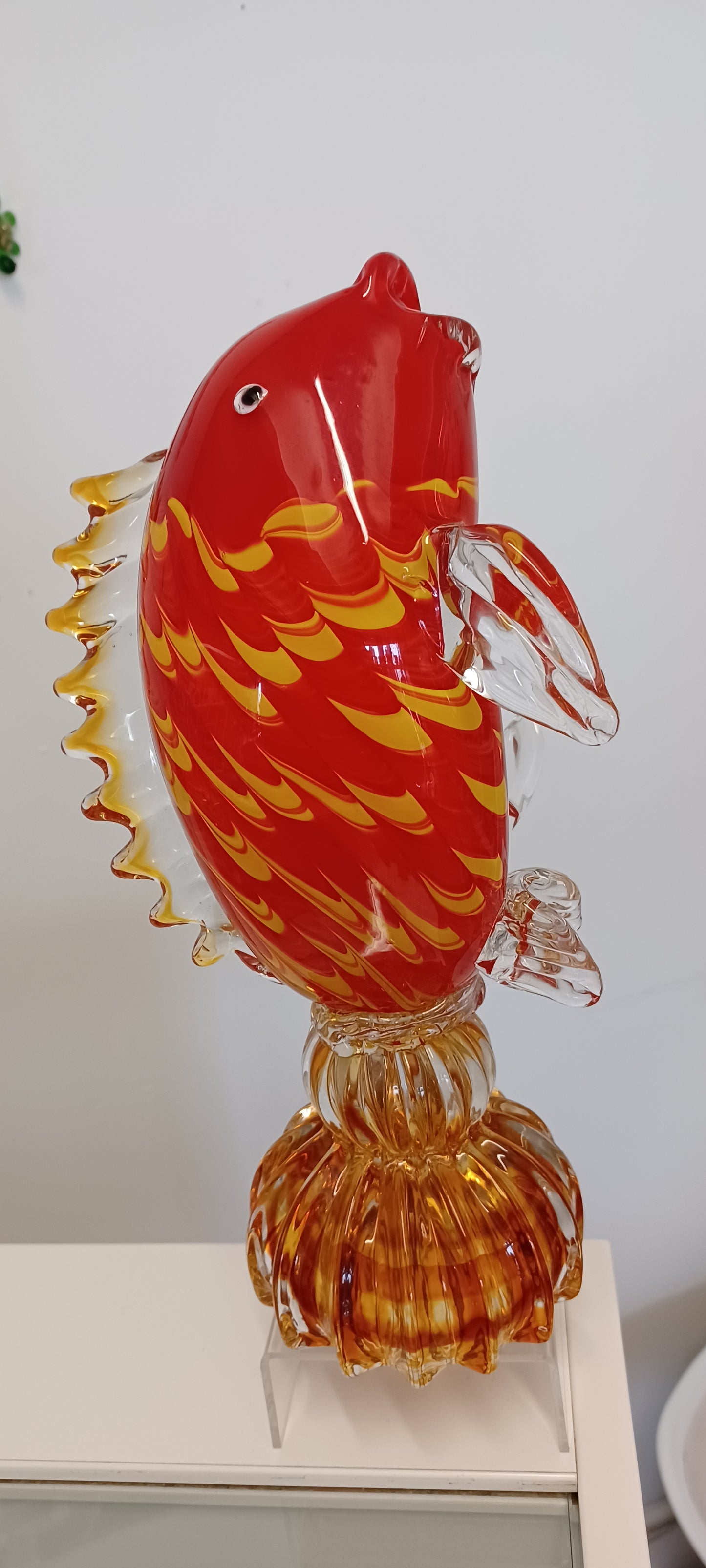 Glass Fish