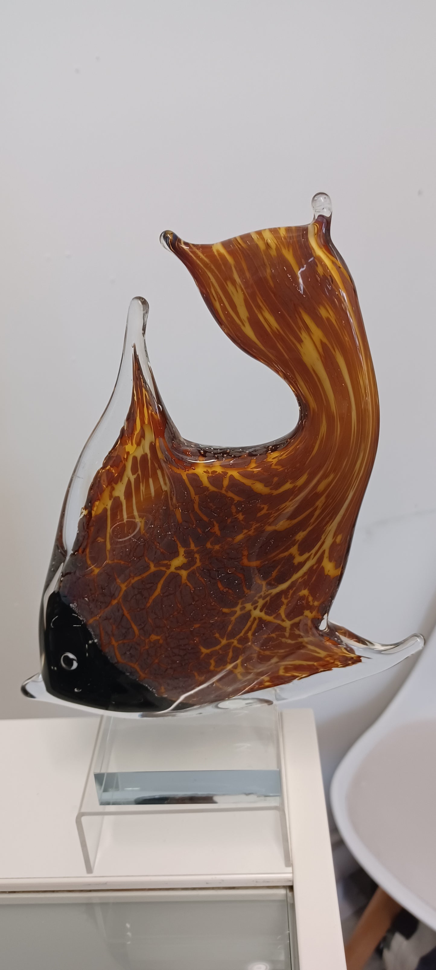 Glass Fish