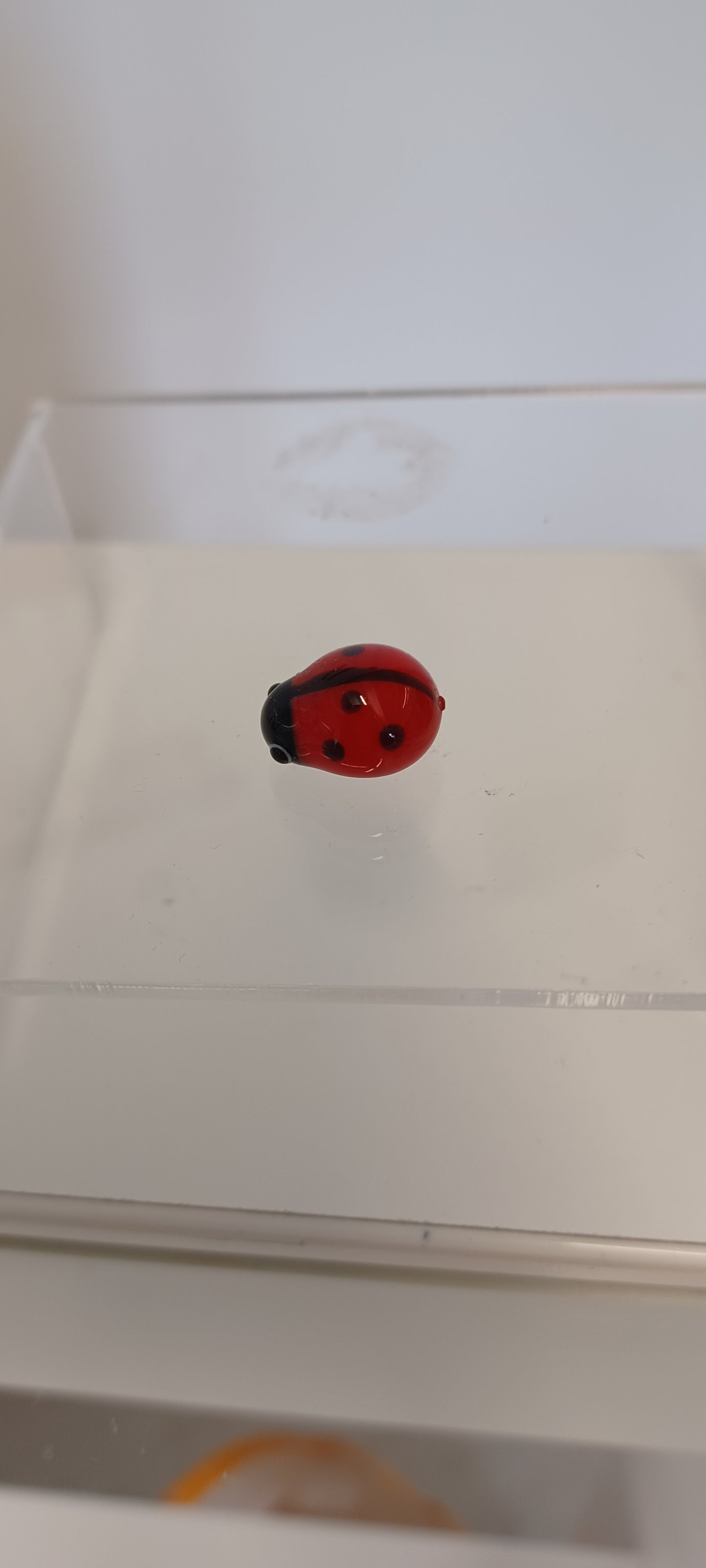 Glass Ladybird
