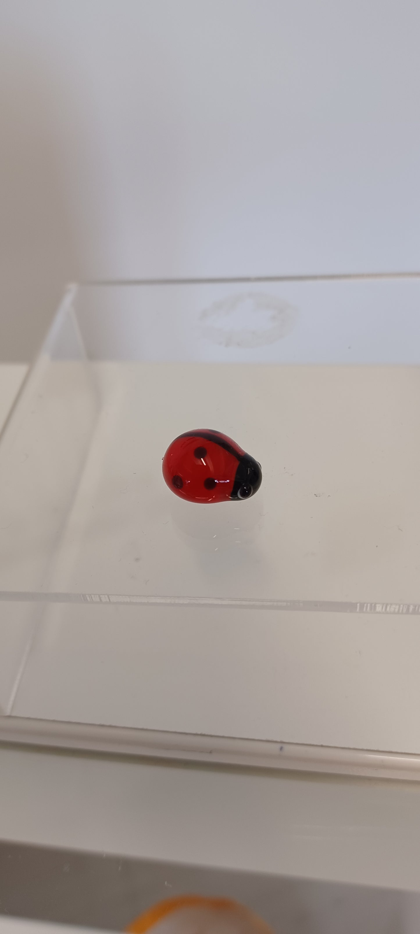 Glass Ladybird