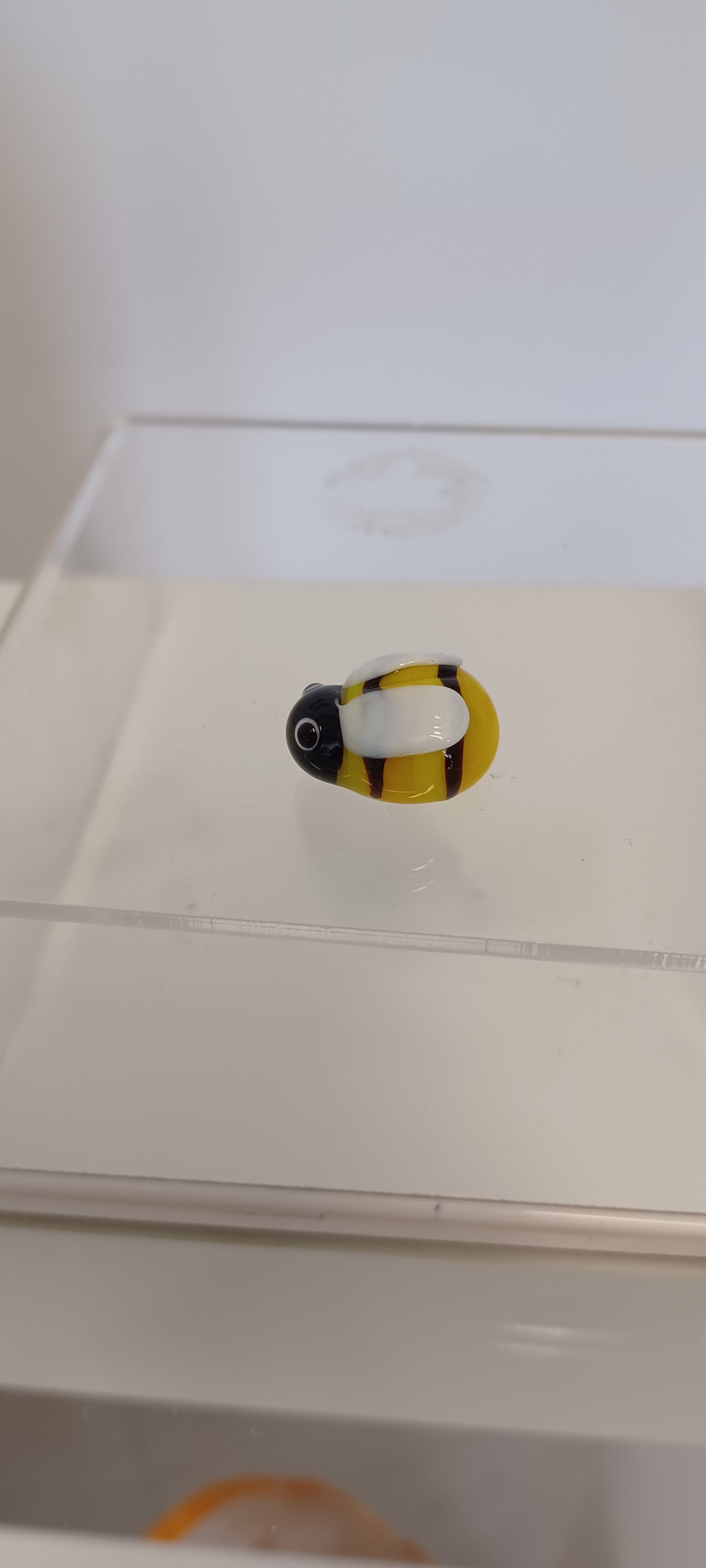 Glass Bee