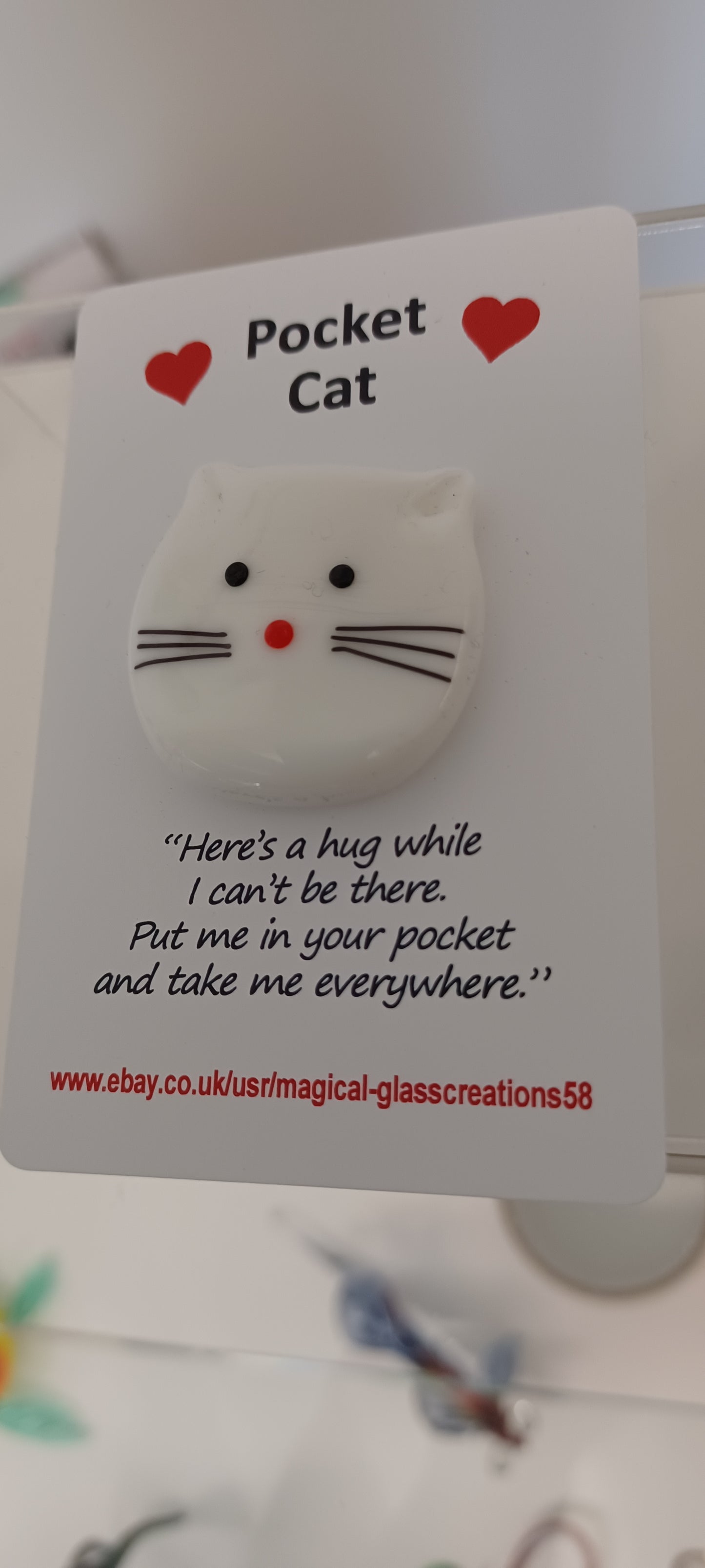 Glass Cat