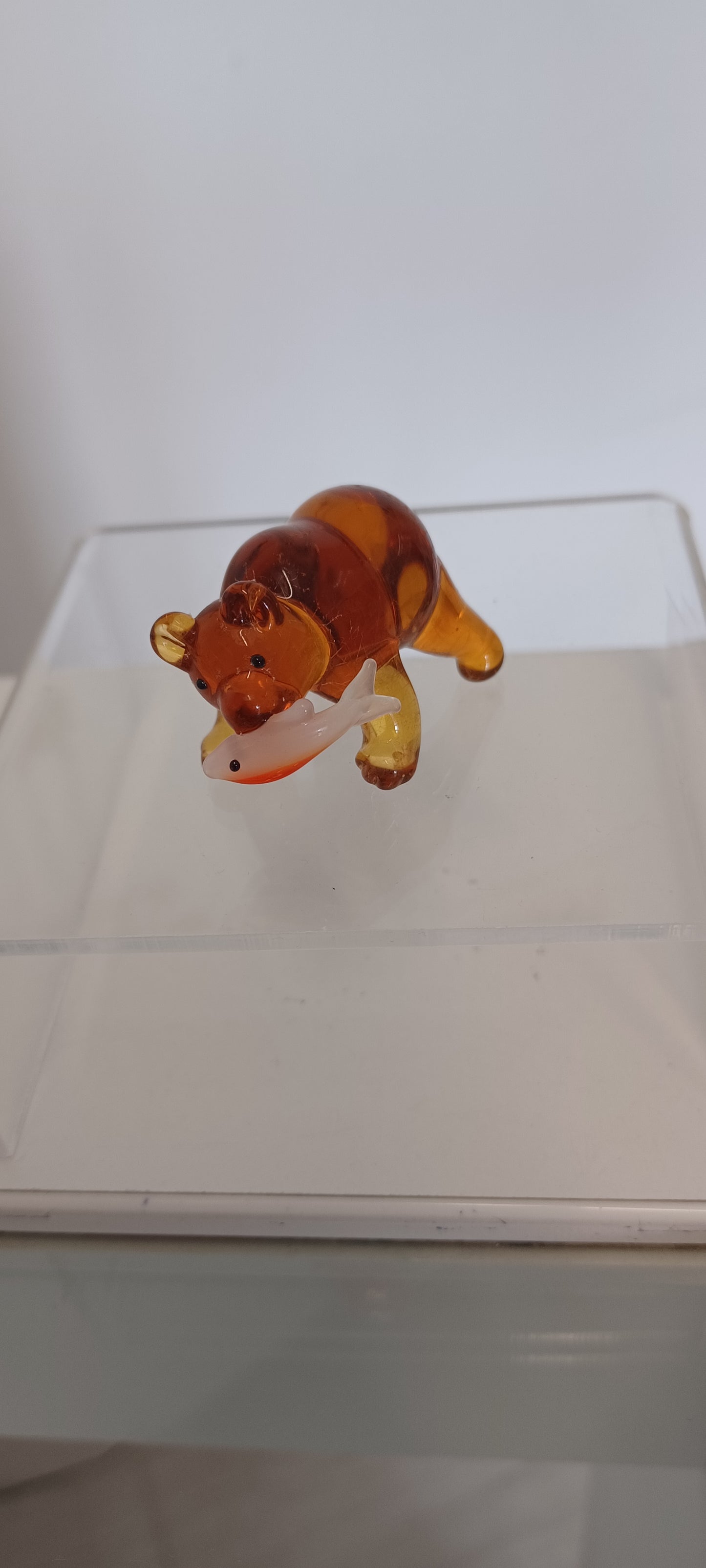 Glass Bear