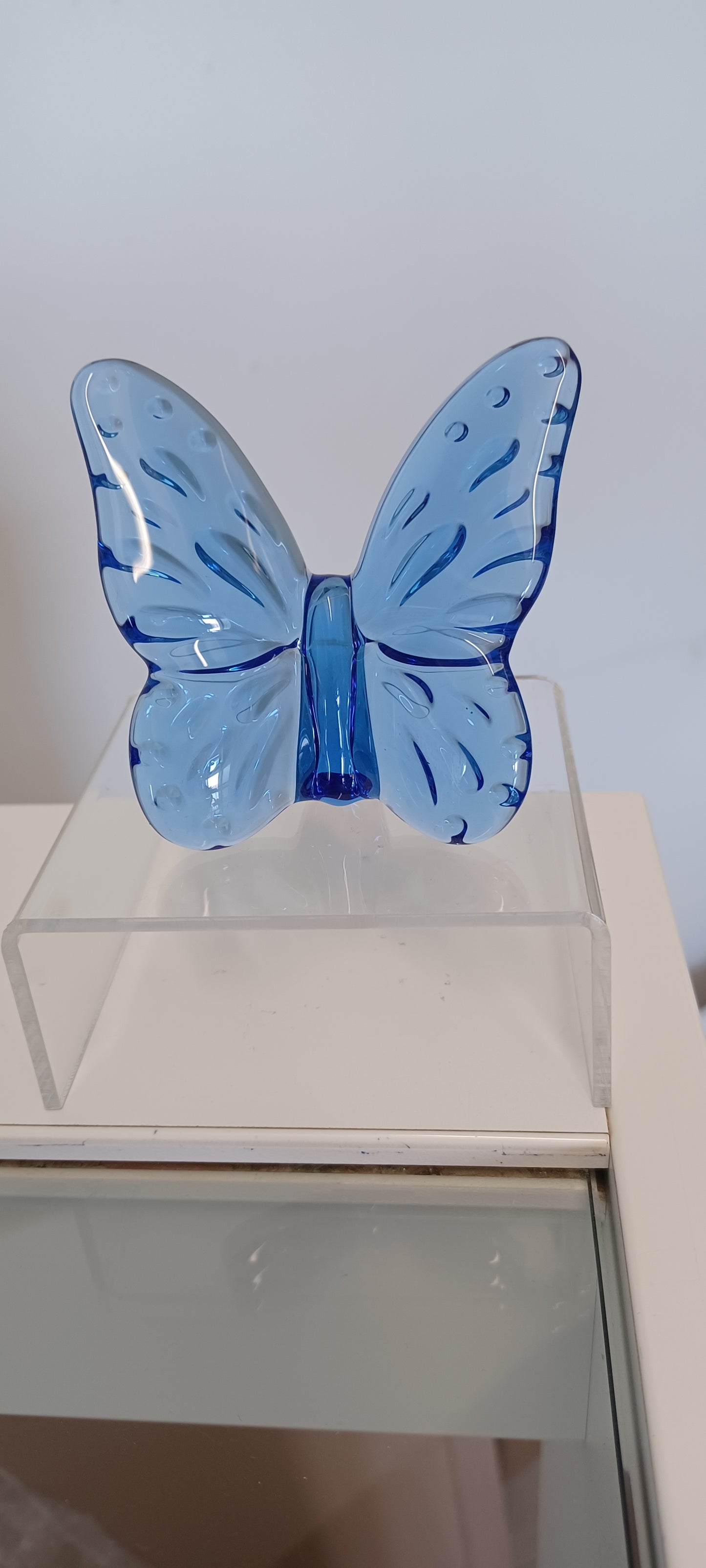 Glass Butterfly