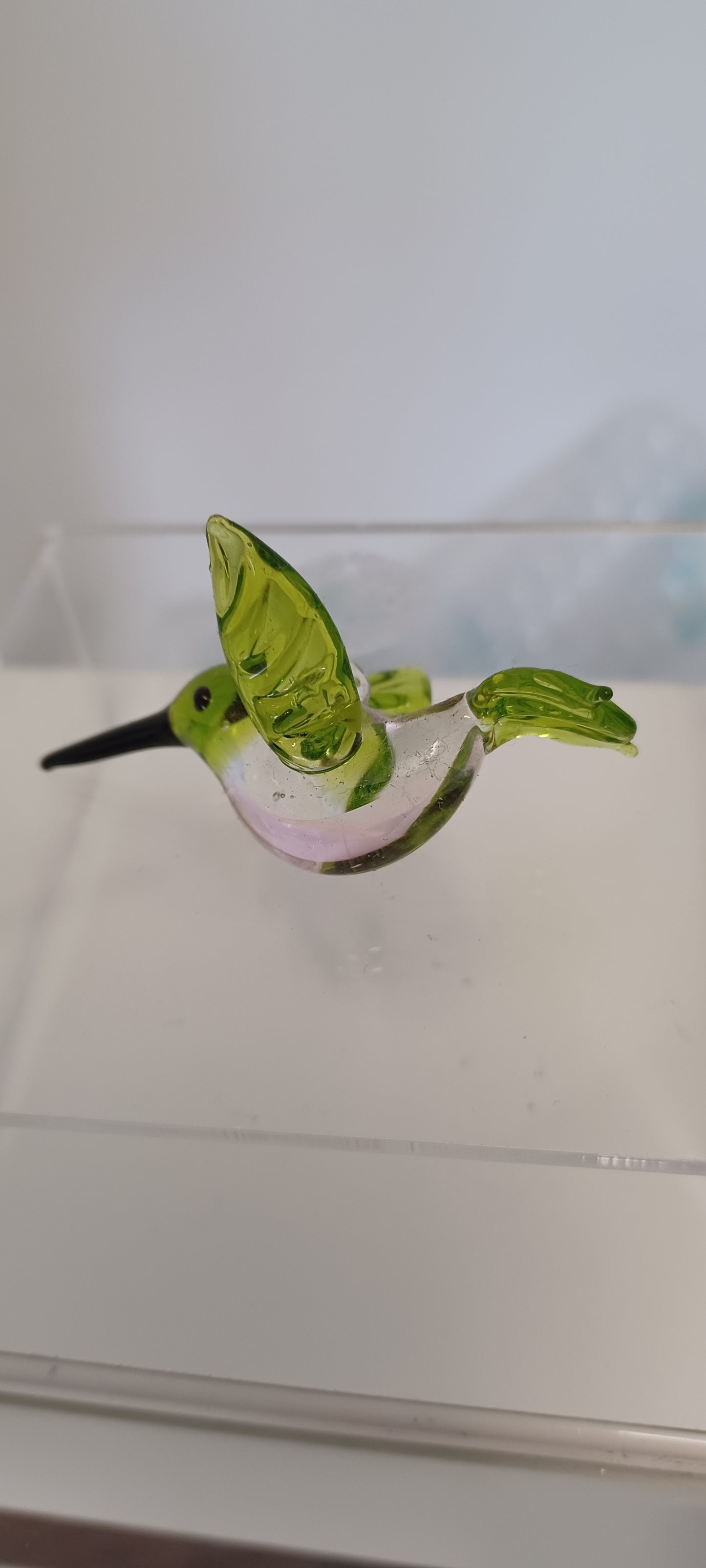 Glass Bird