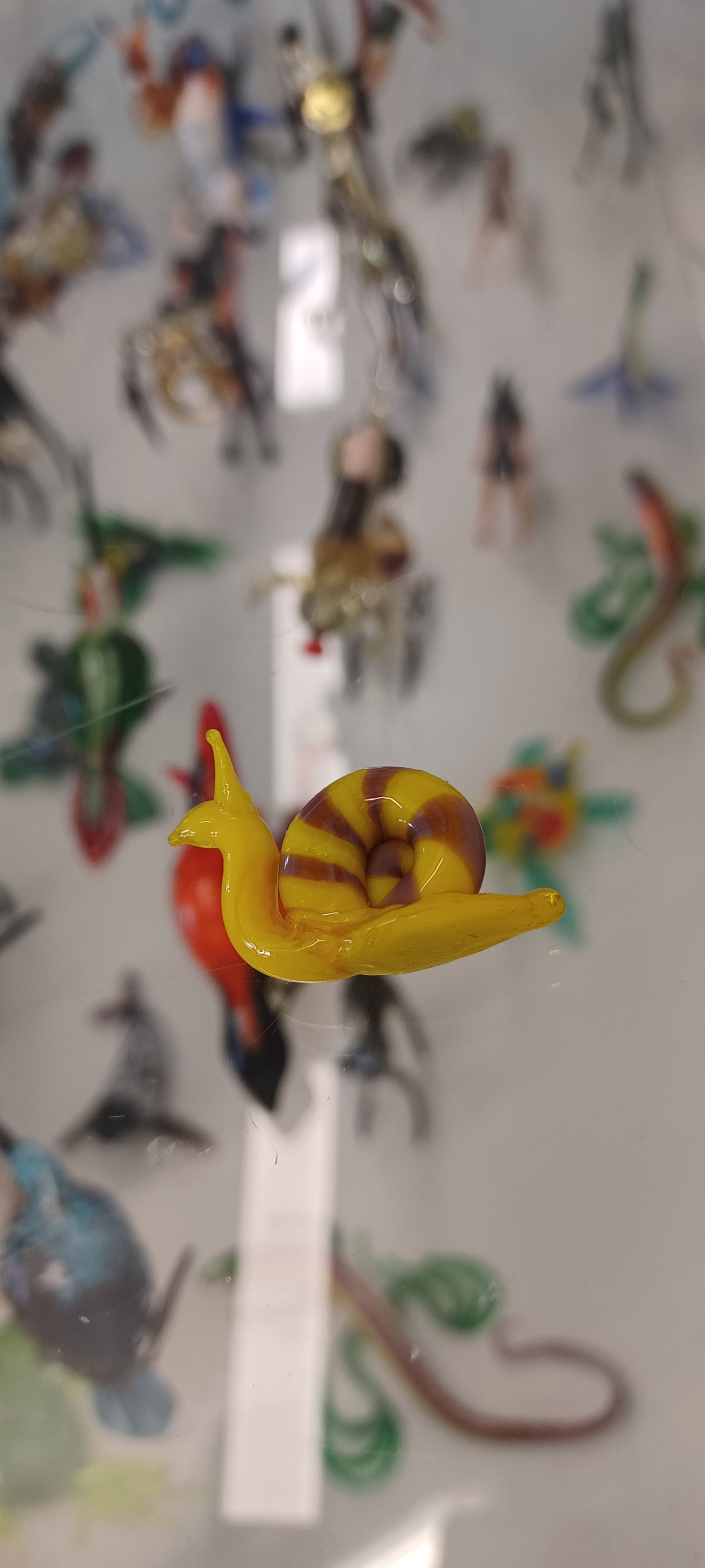 Glass Snail