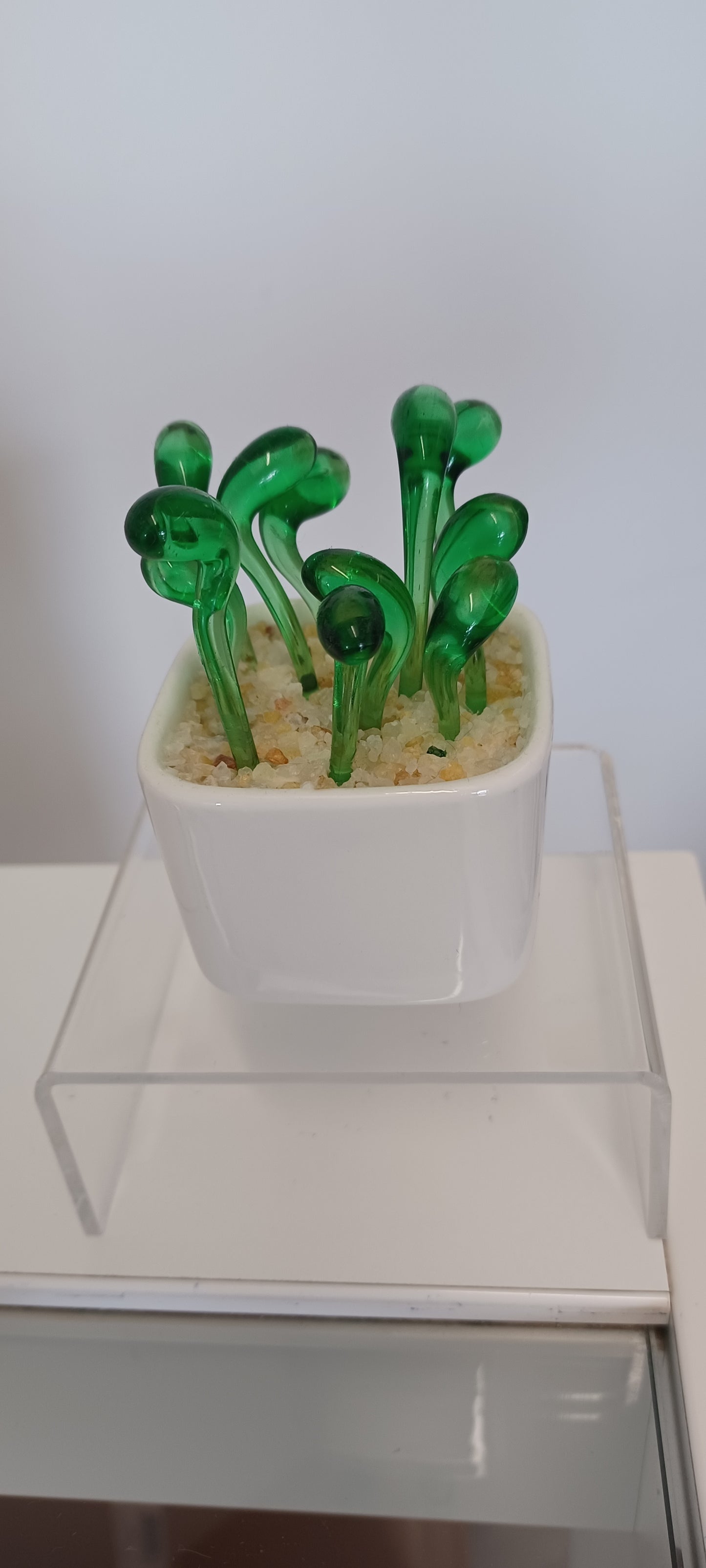 Glass Flower