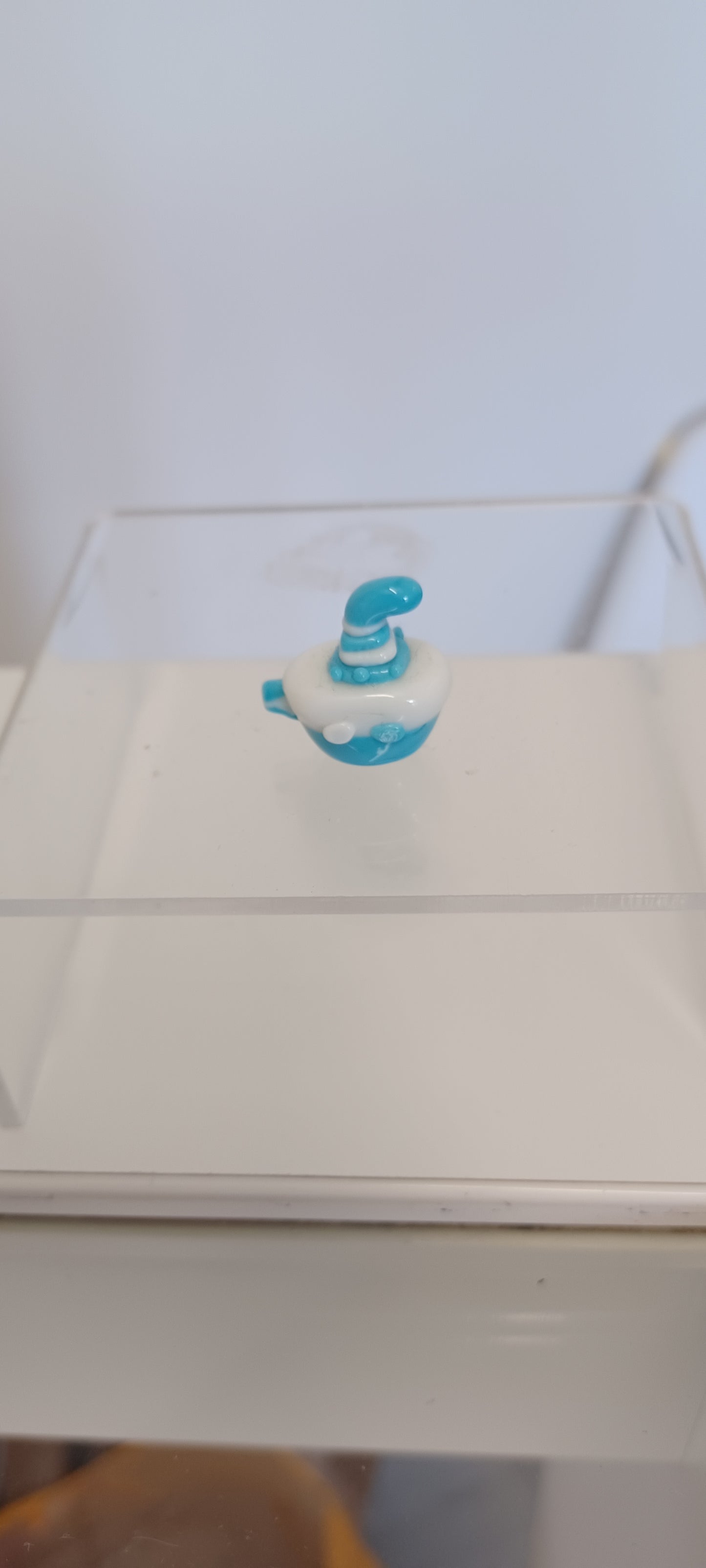 Glass Boat