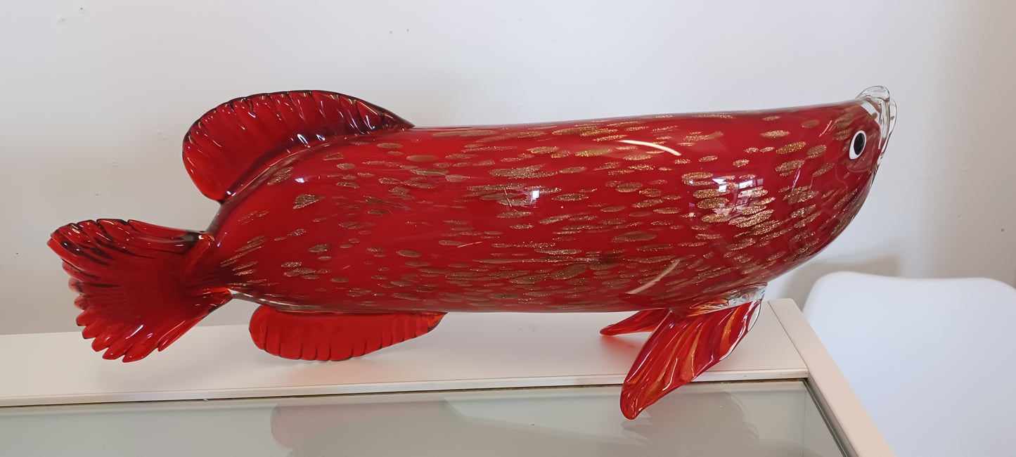 Glass Fish