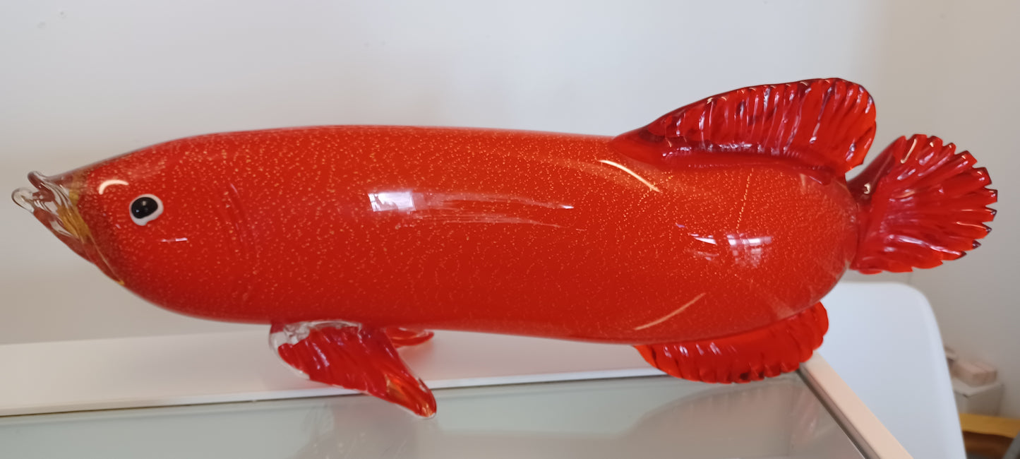 Glass Fish