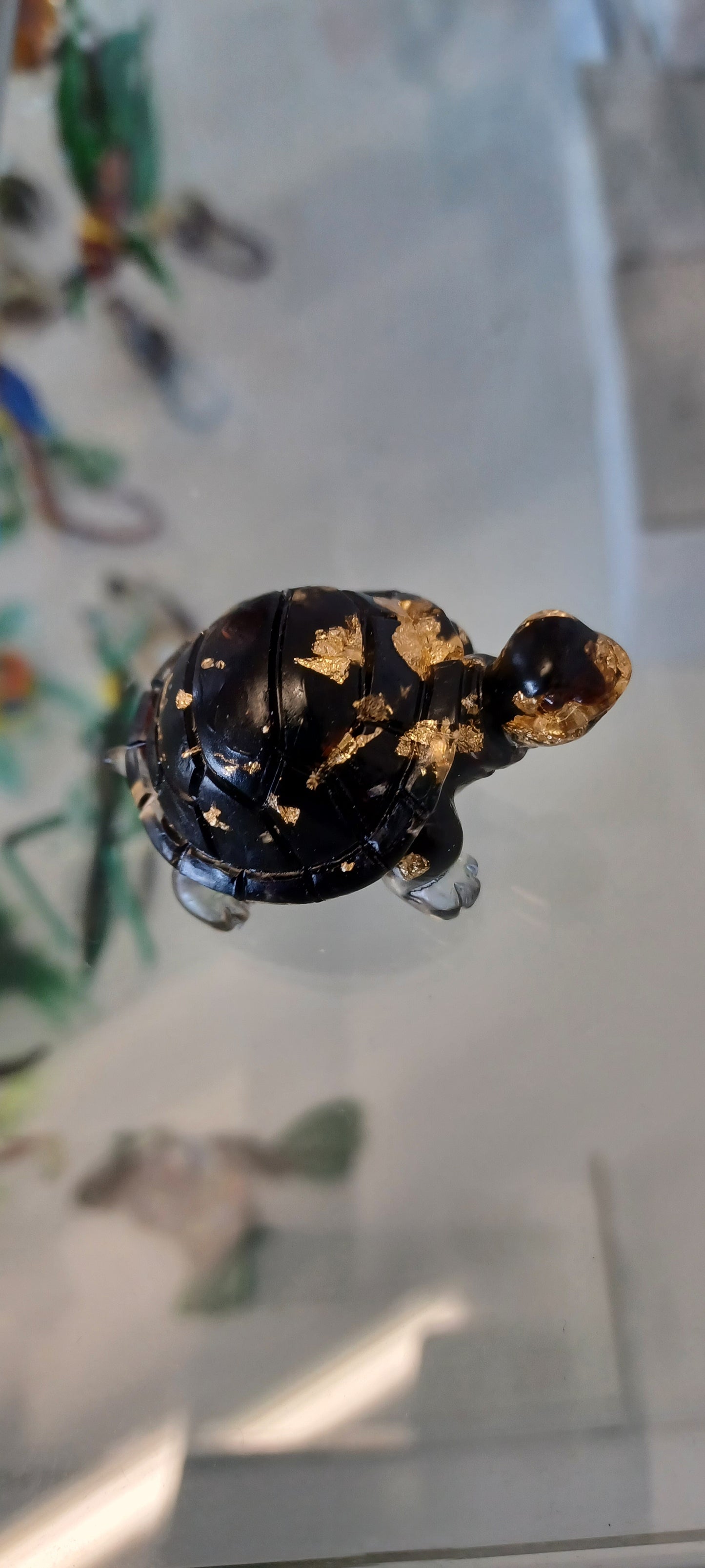 Glass Tortoise