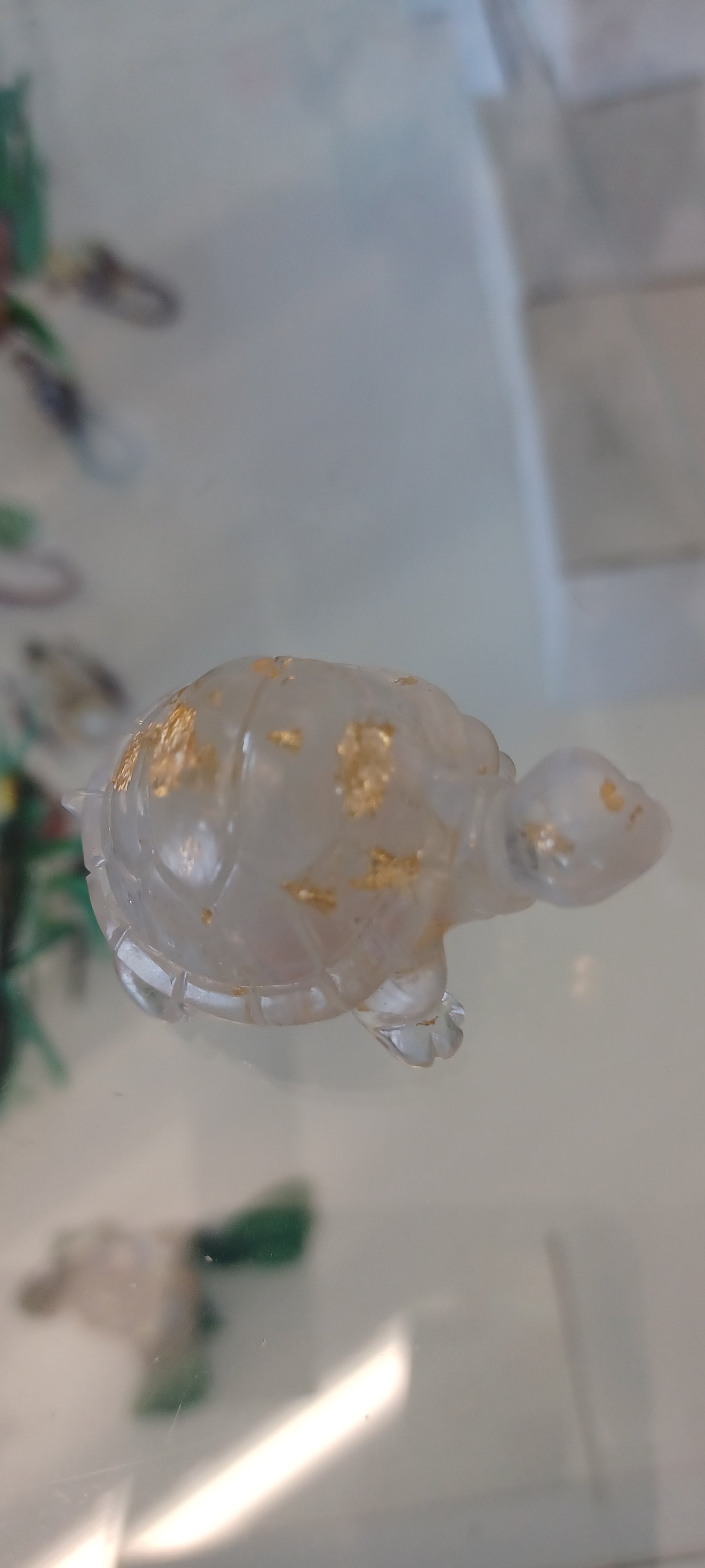 Glass Tortoise