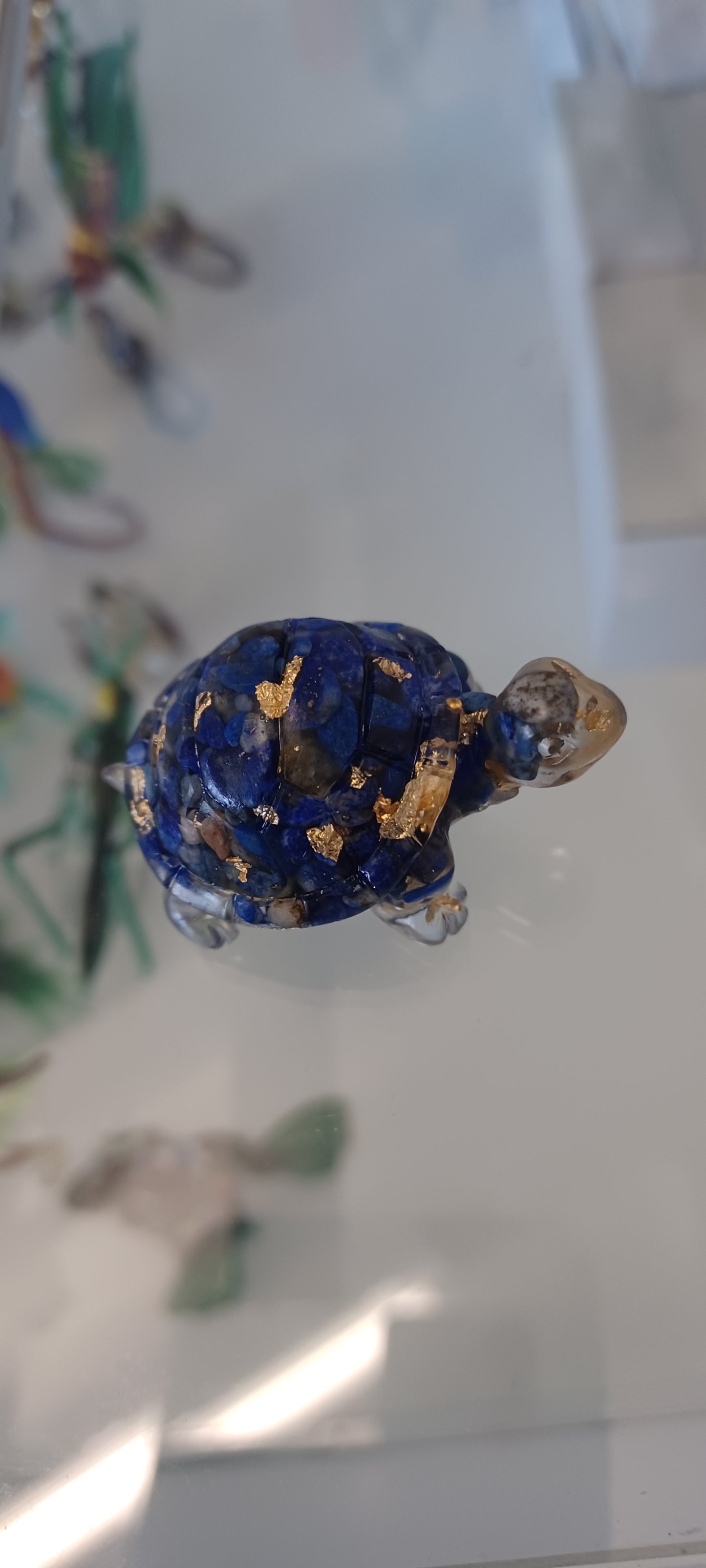 Glass Tortoise