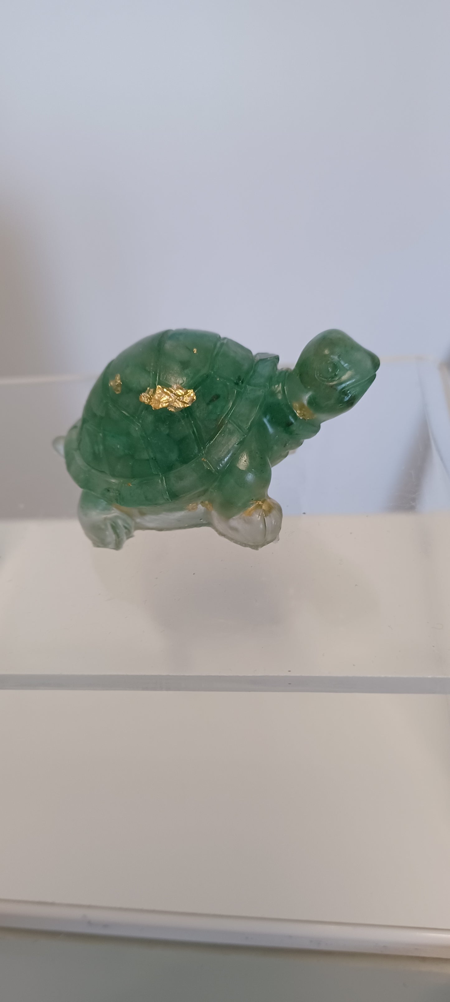 Glass Tortoise