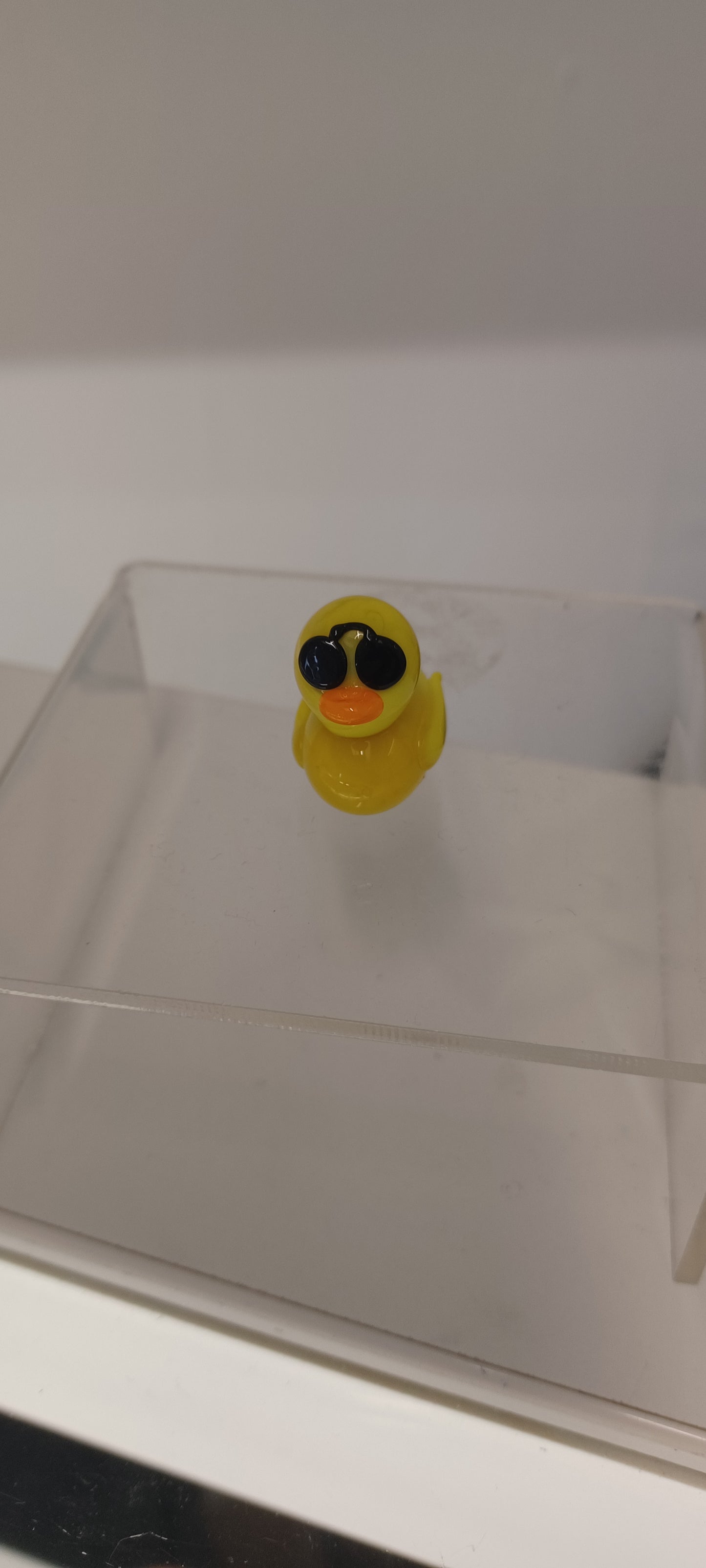 Glass Duck