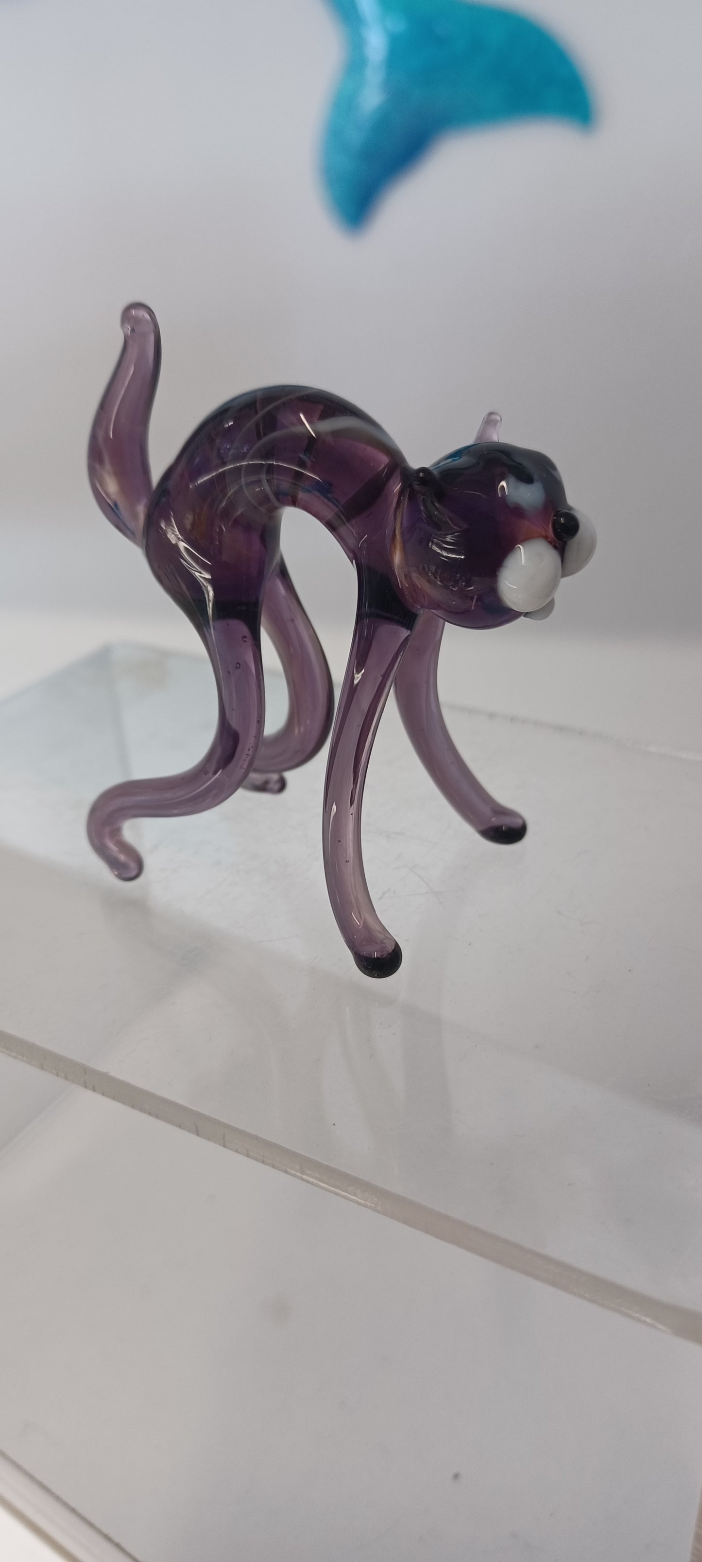 Glass Cat