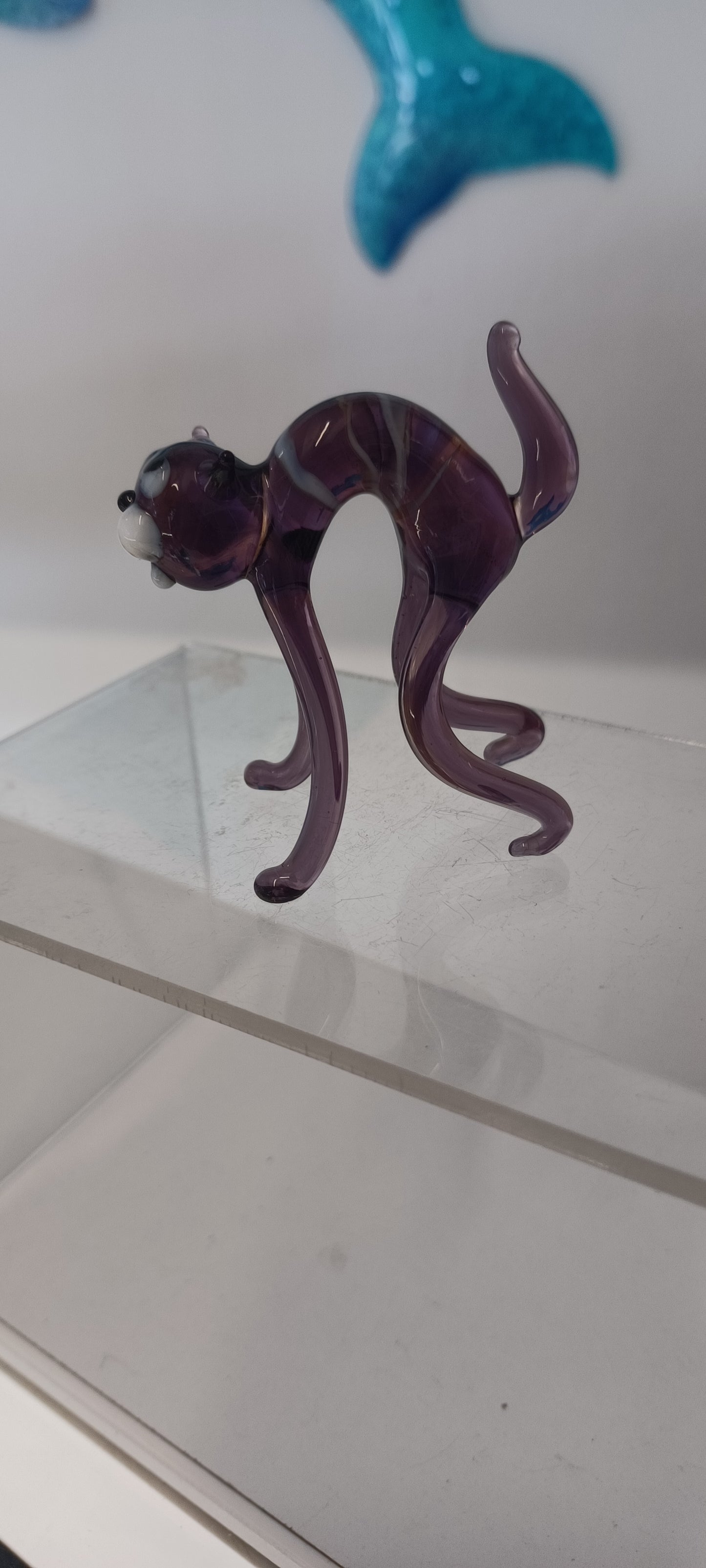 Glass Cat