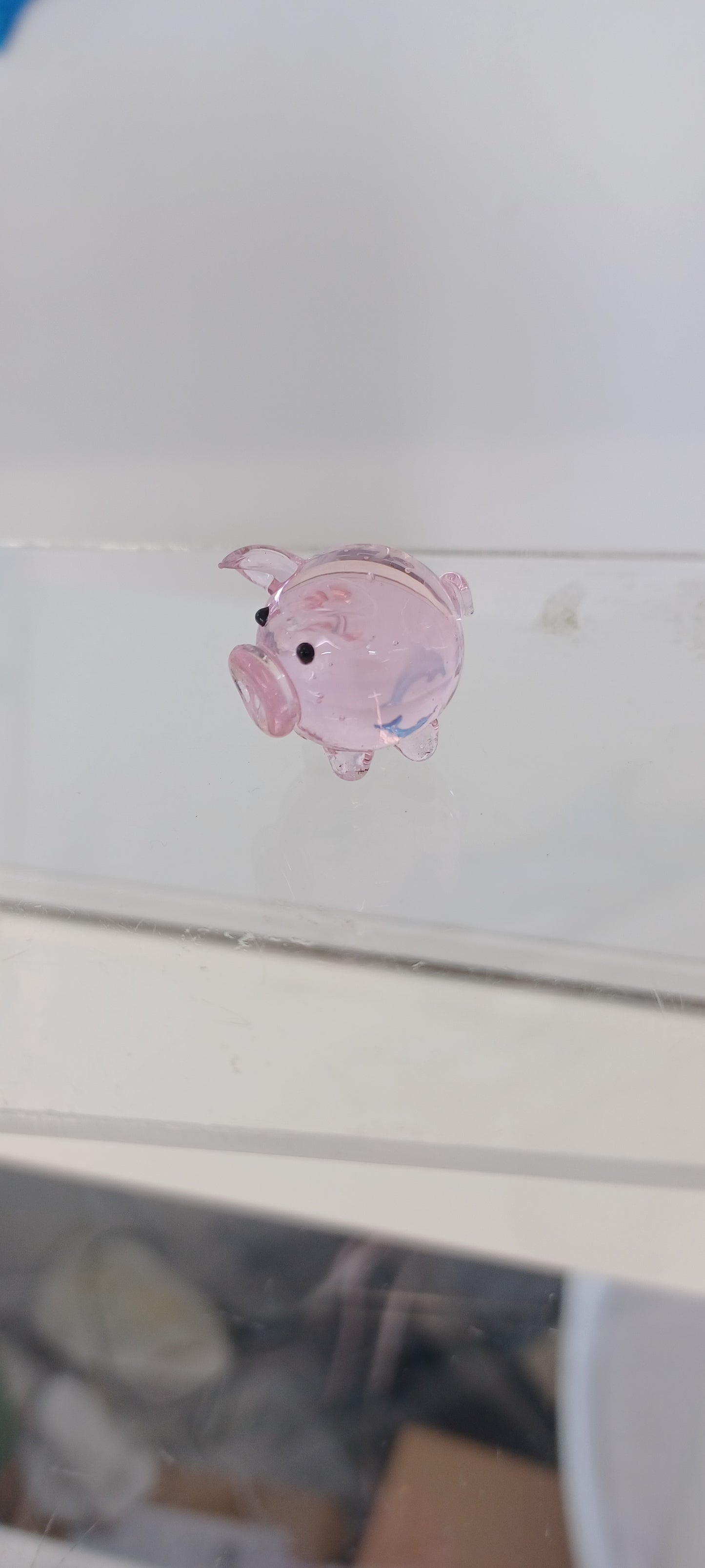 Glass Pig