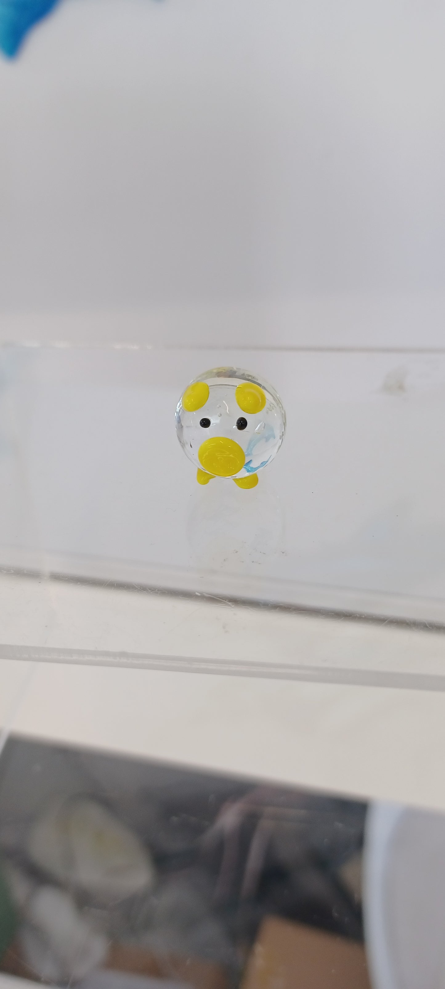 Glass Pig