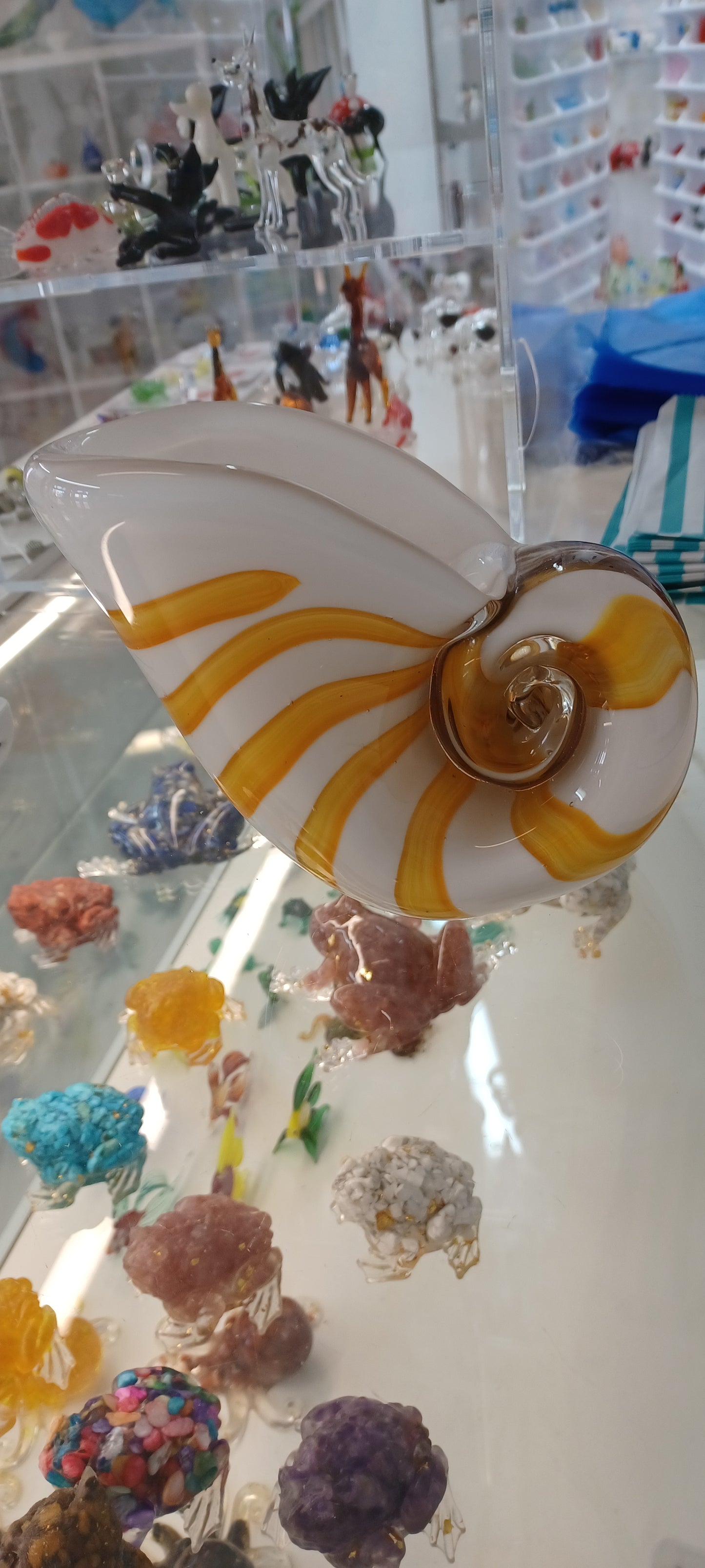 Glass Shell
