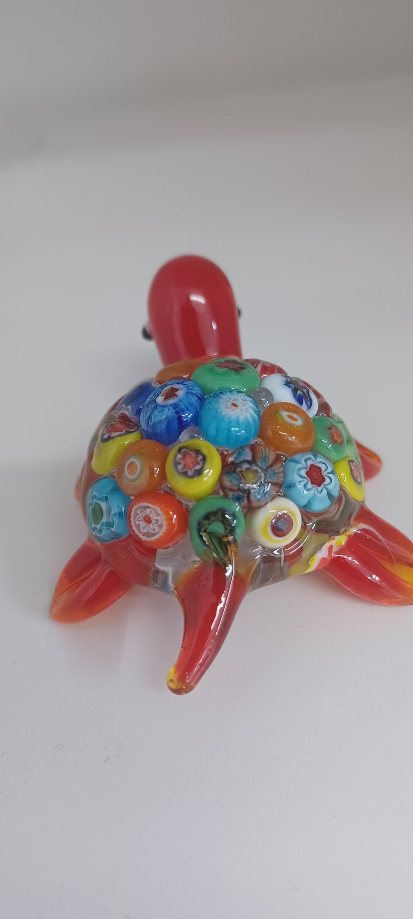 Glass Turtle