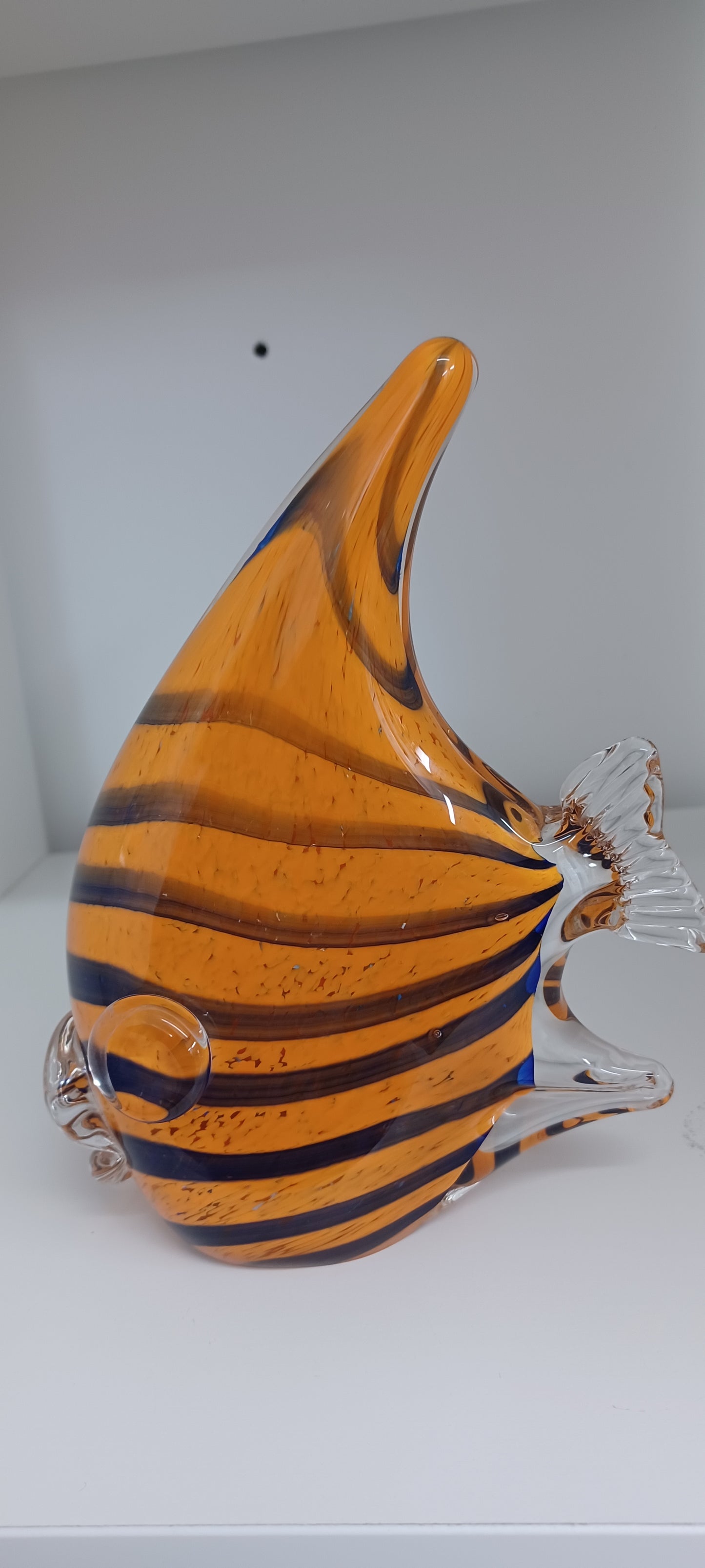 Glass Fish