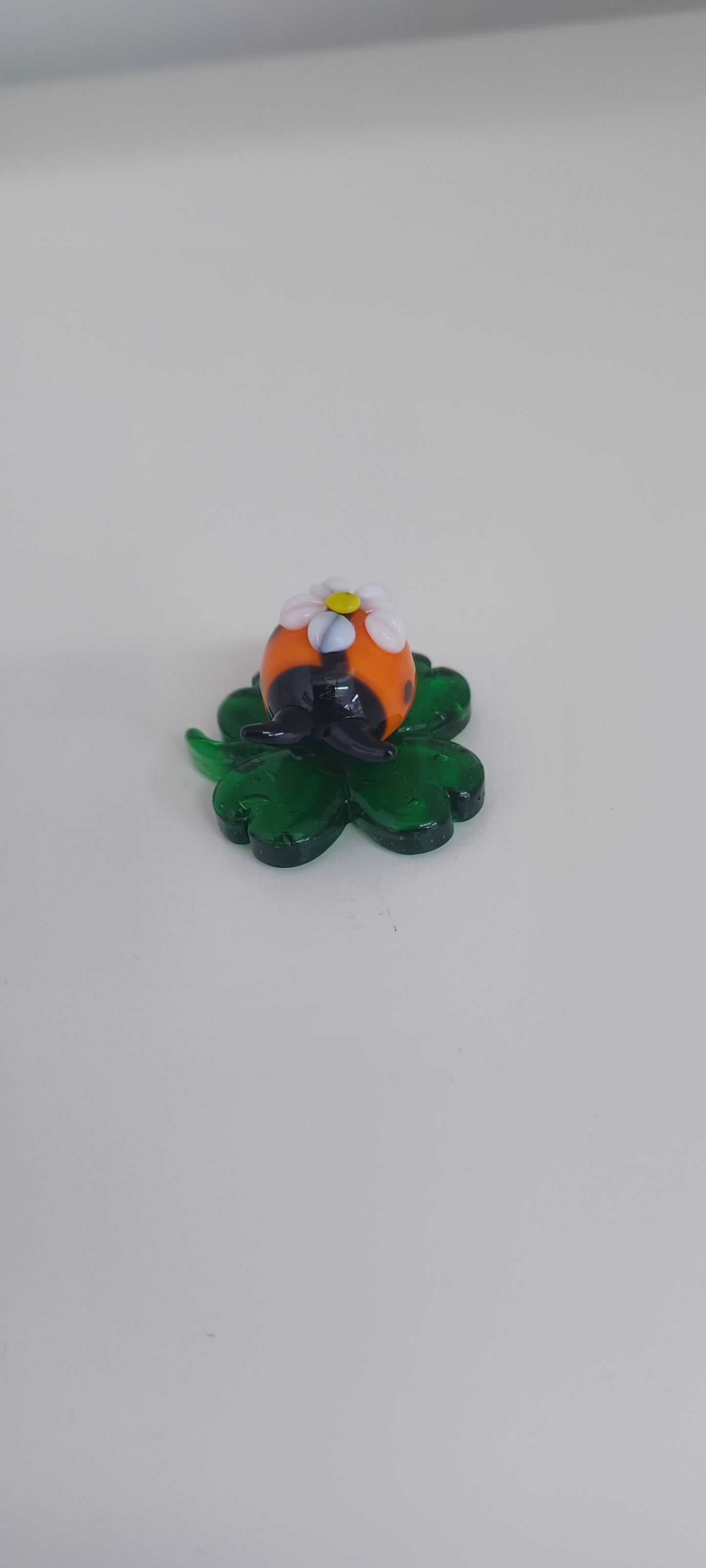 Glass Ladybird