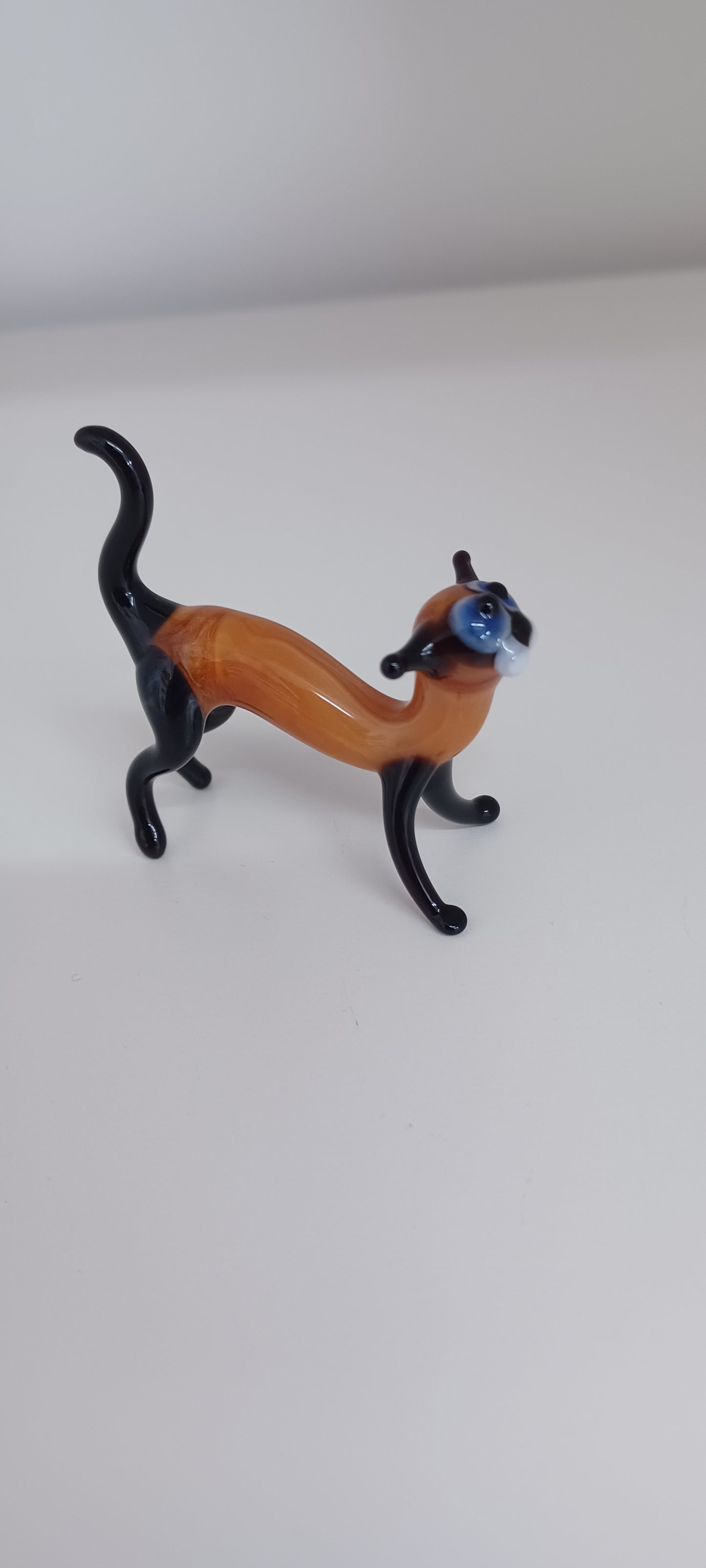Glass Cat