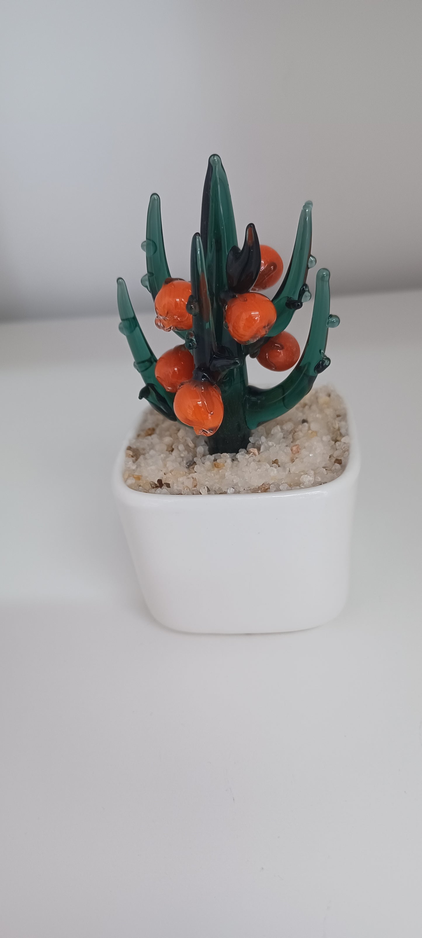 Glass Cactus