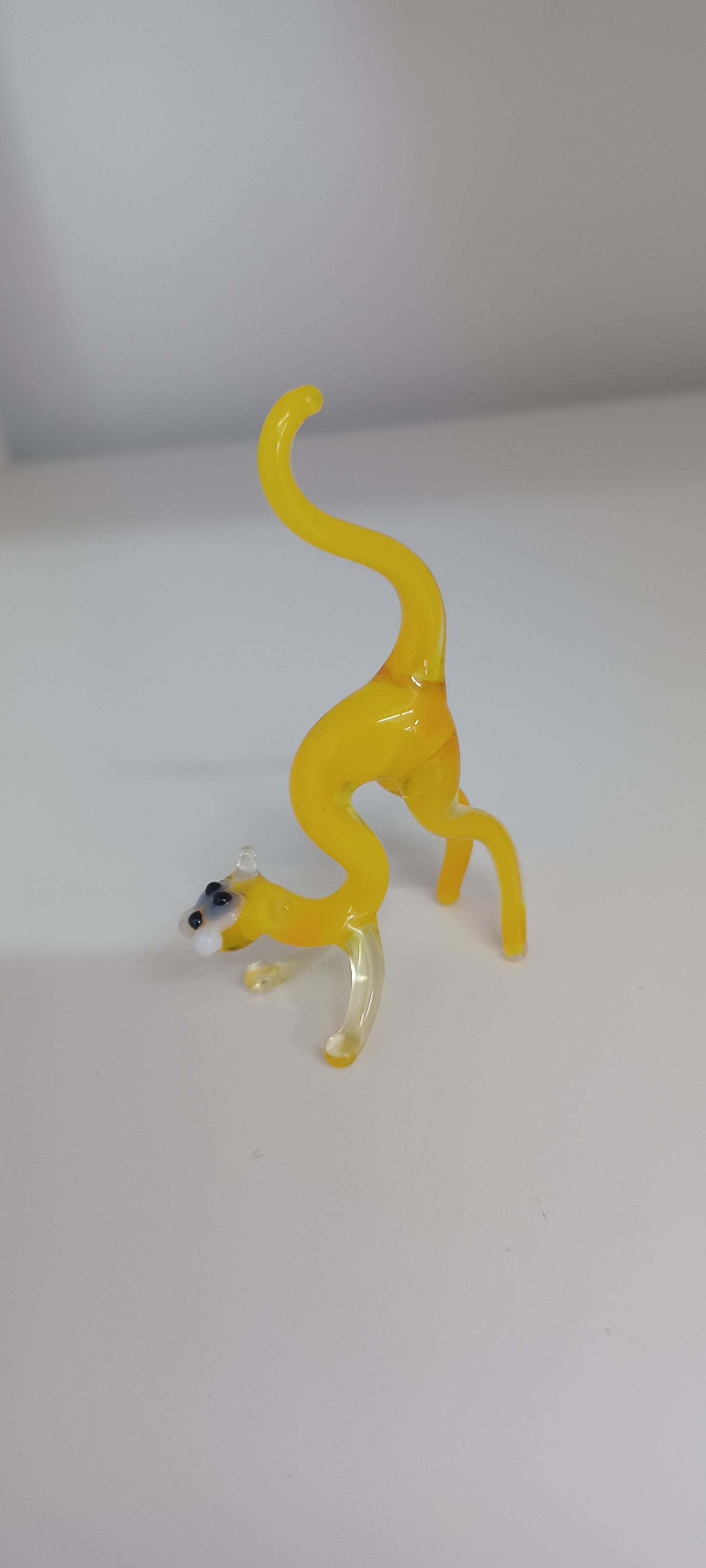 Glass Cat
