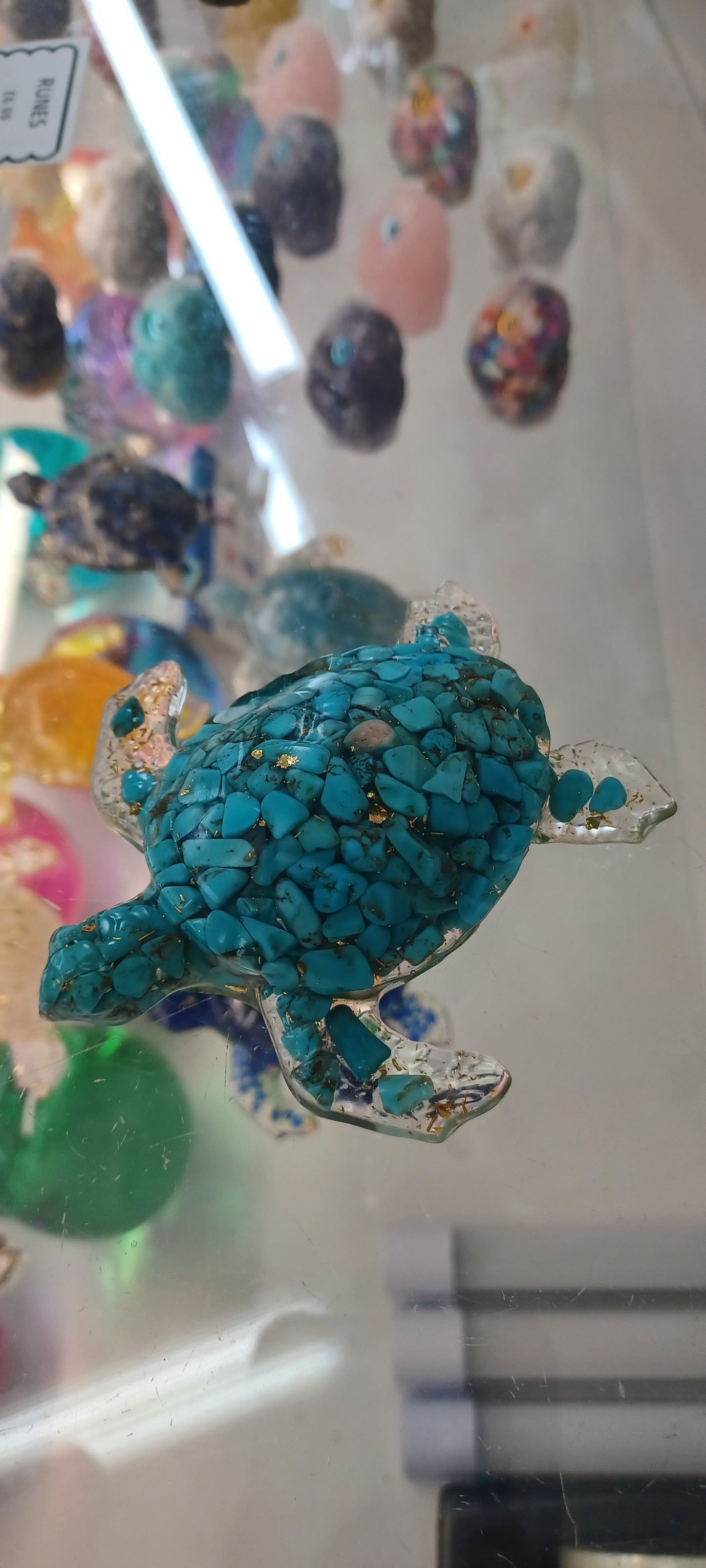 Turtle
