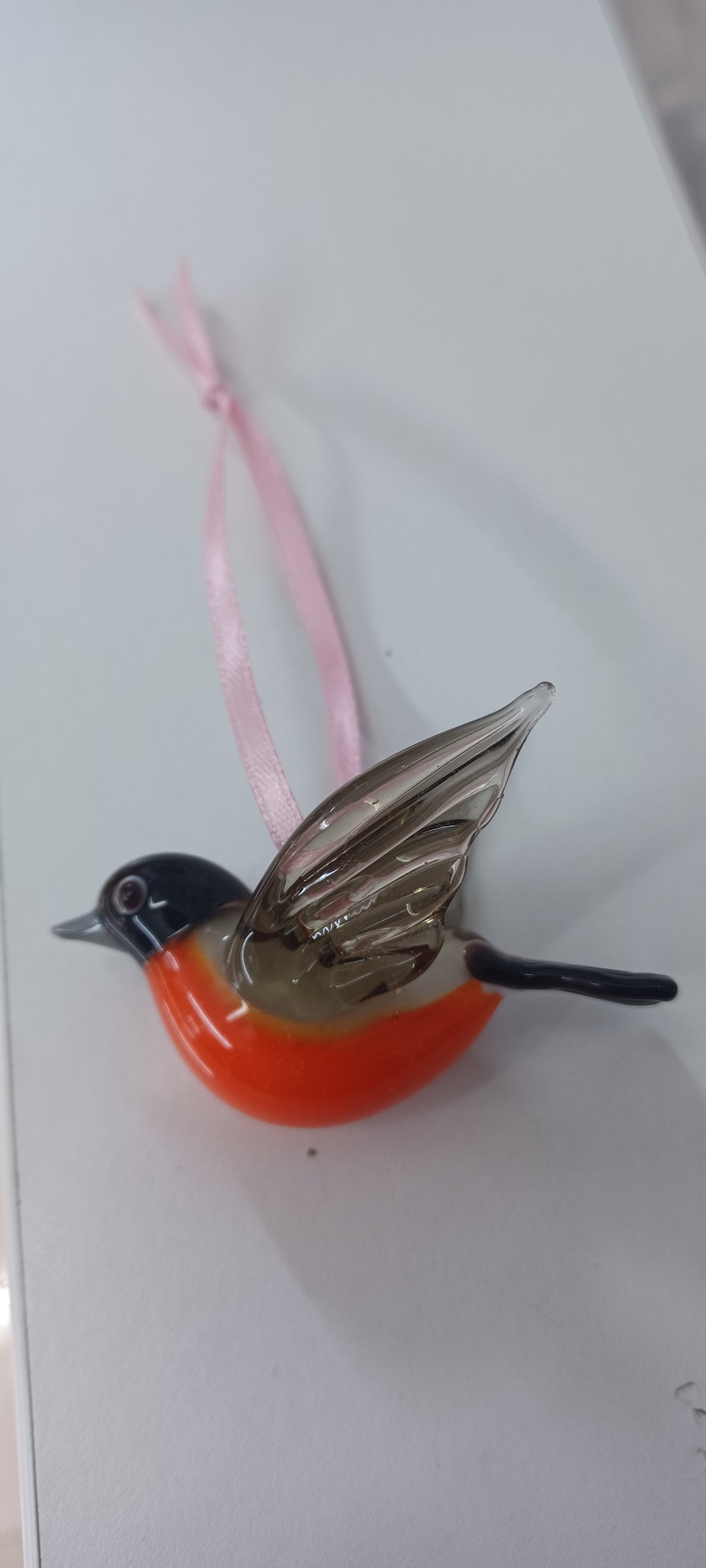 Glass Robin
