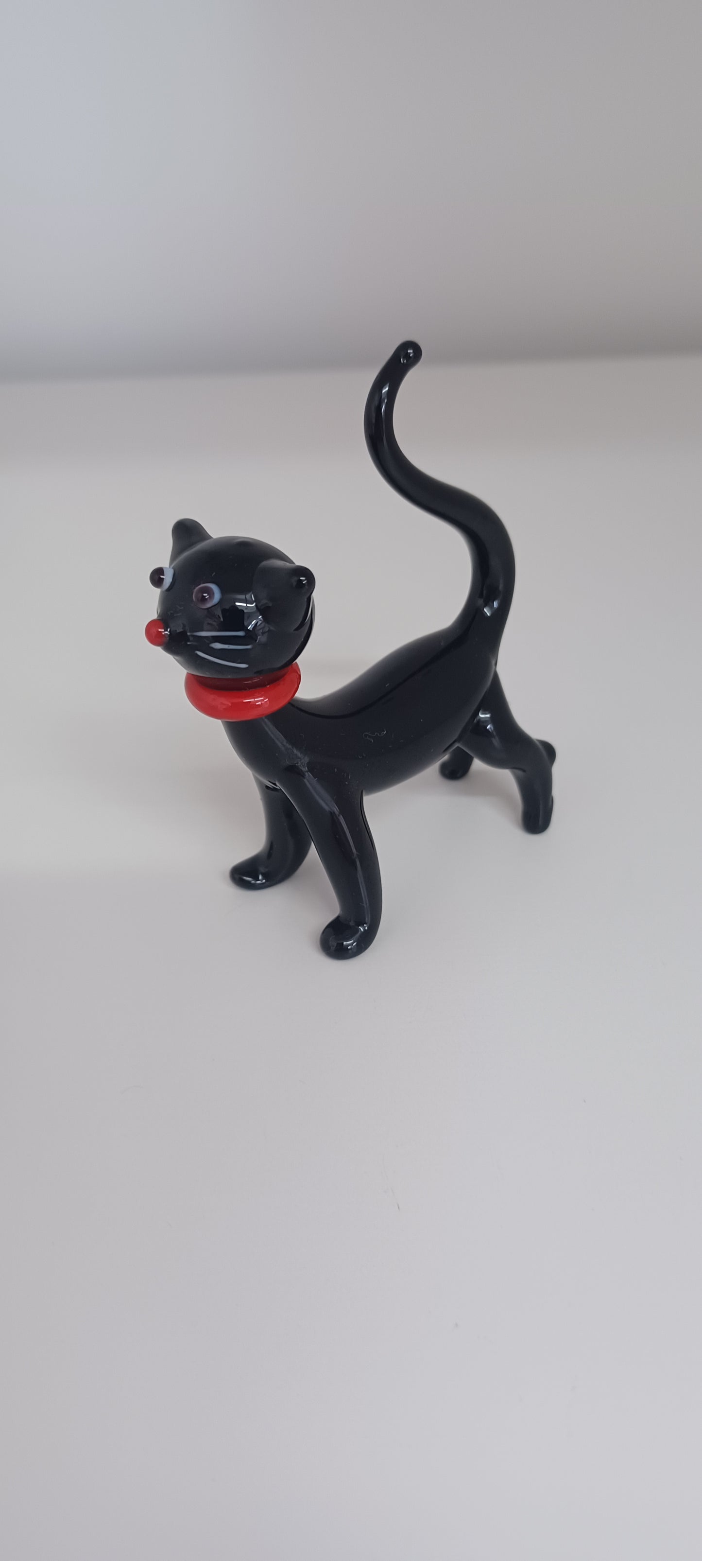 Glass Cat