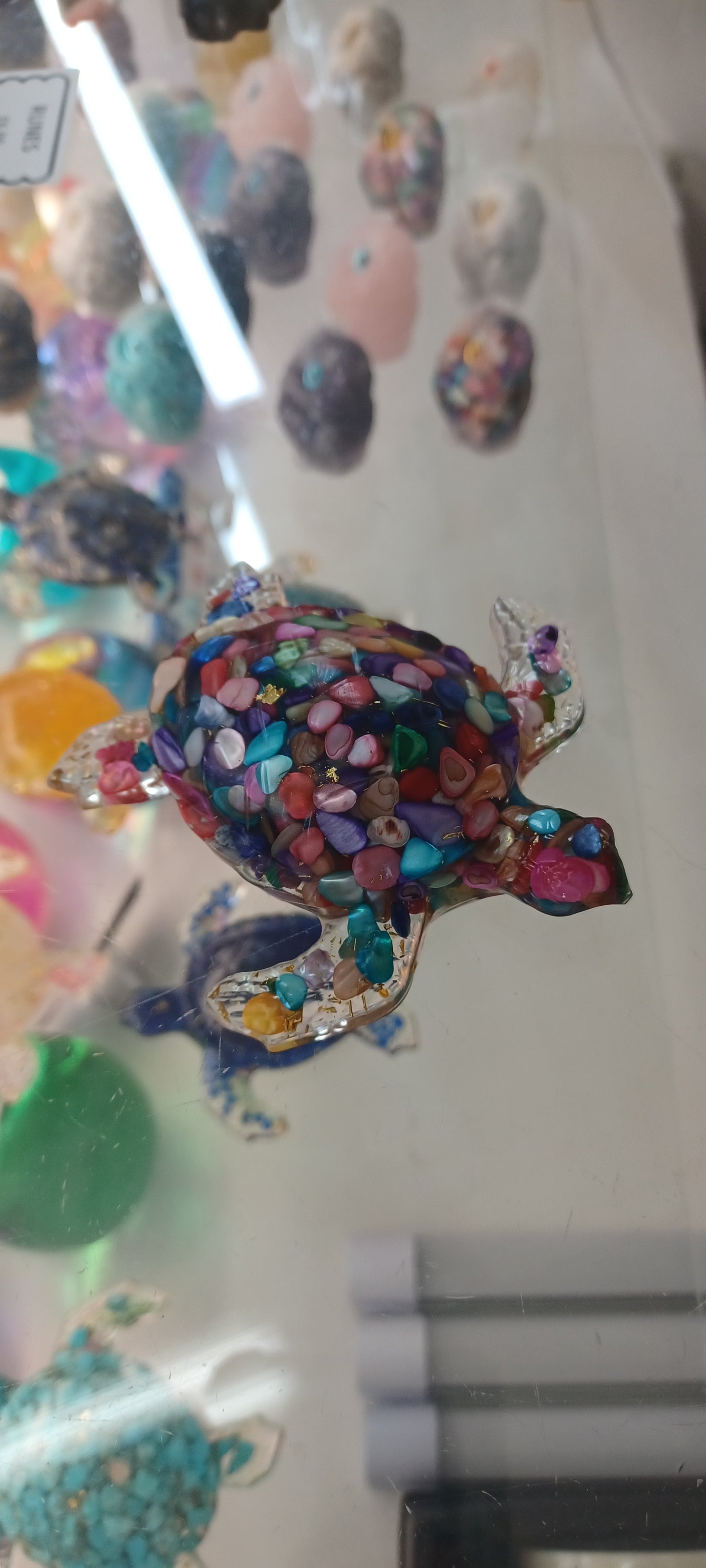 Turtle