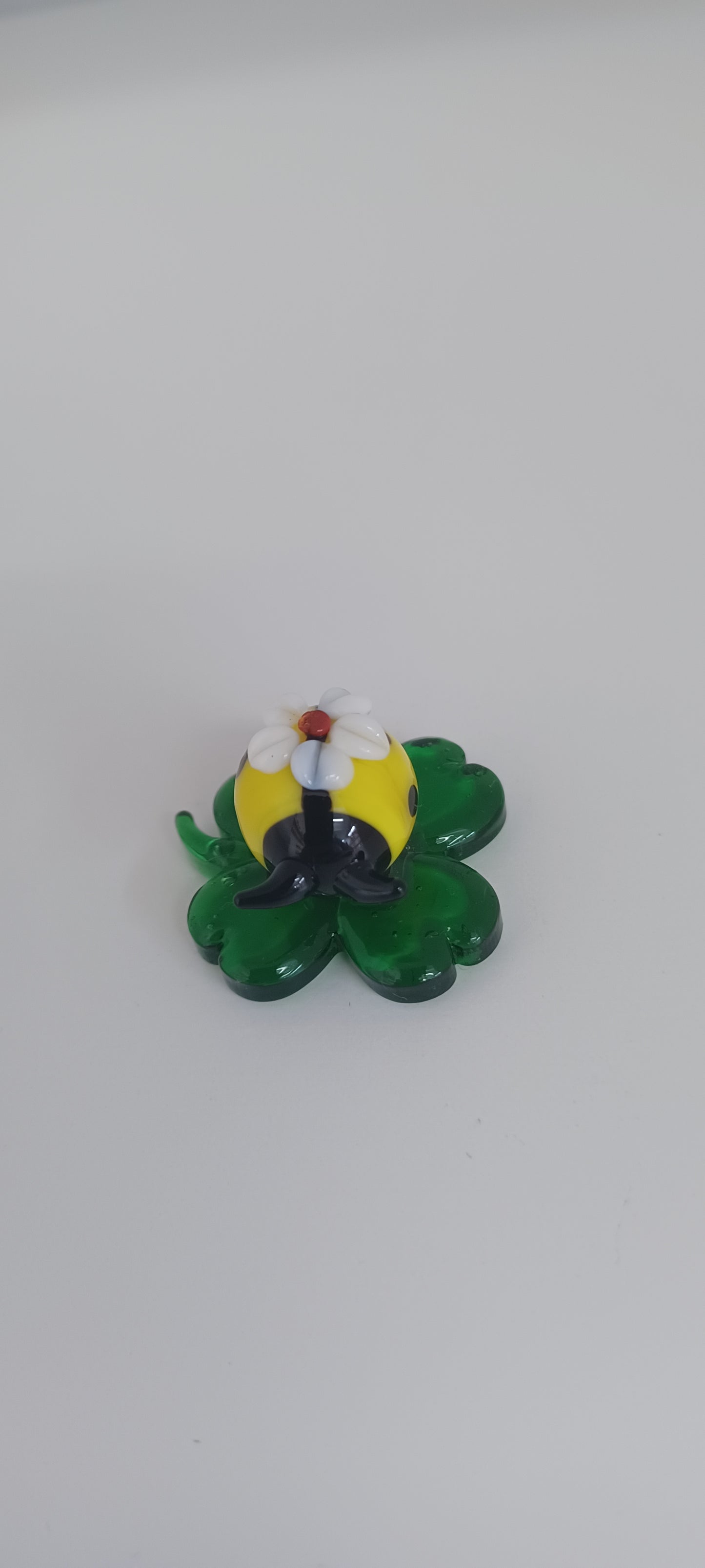 Glass Ladybird