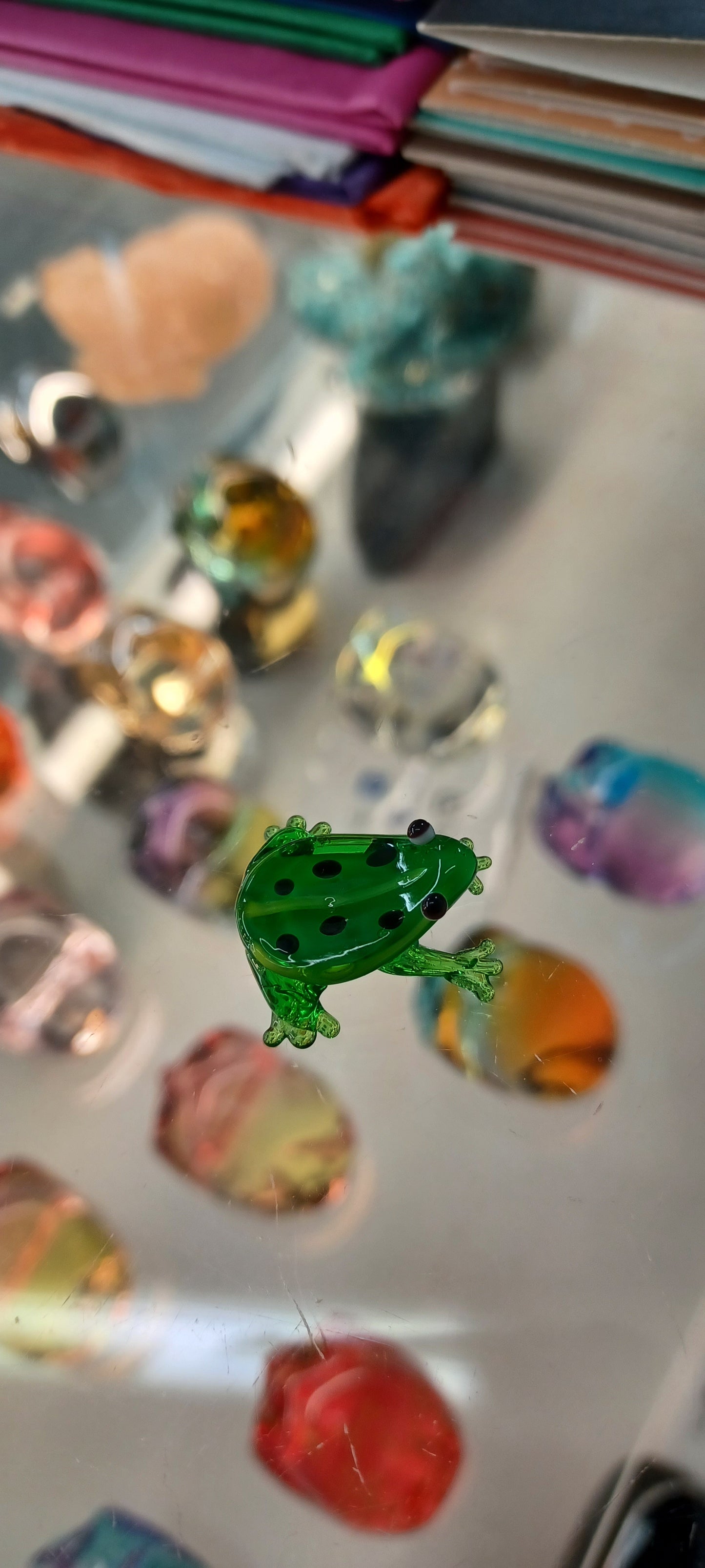 Glass Frog