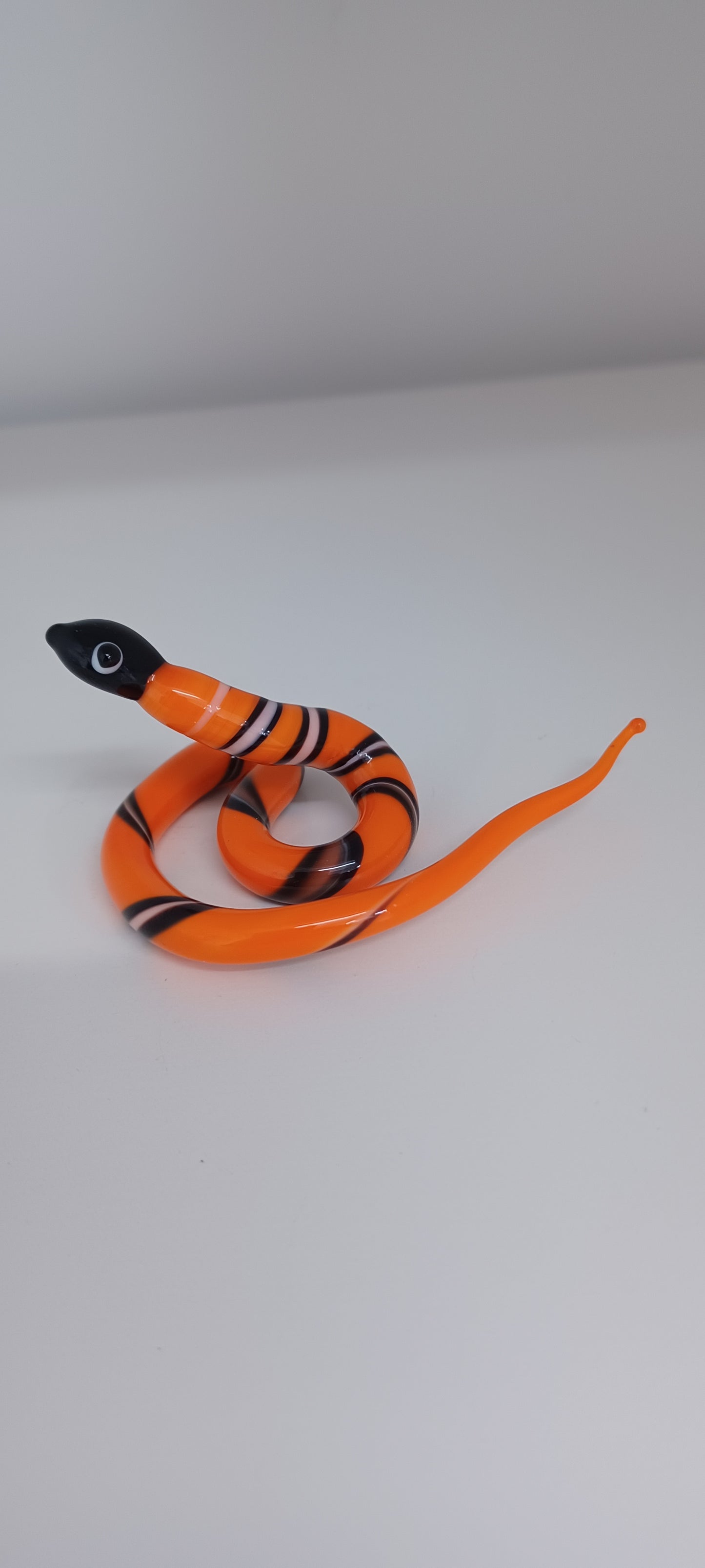 Glass Snake