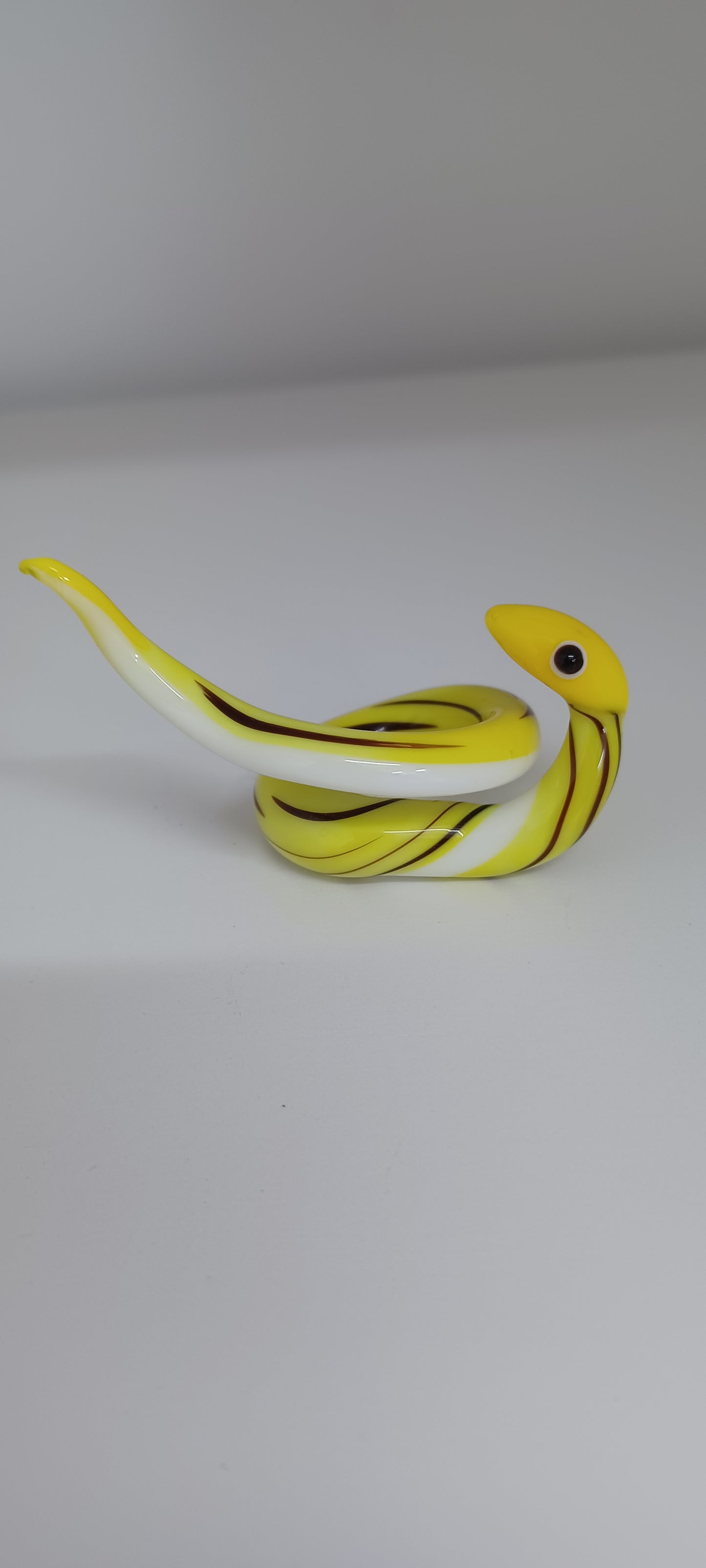 Glass Snake