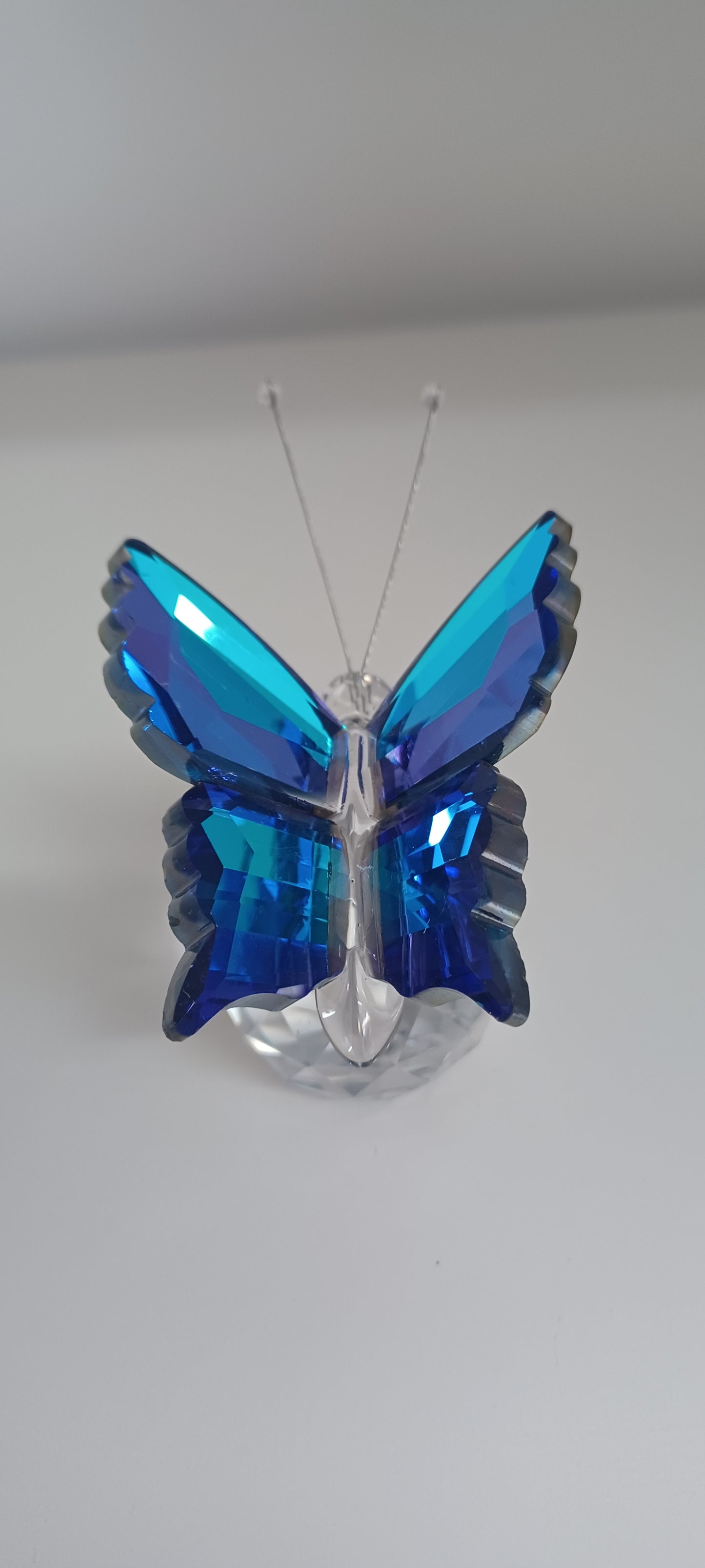 Glass Butterfly