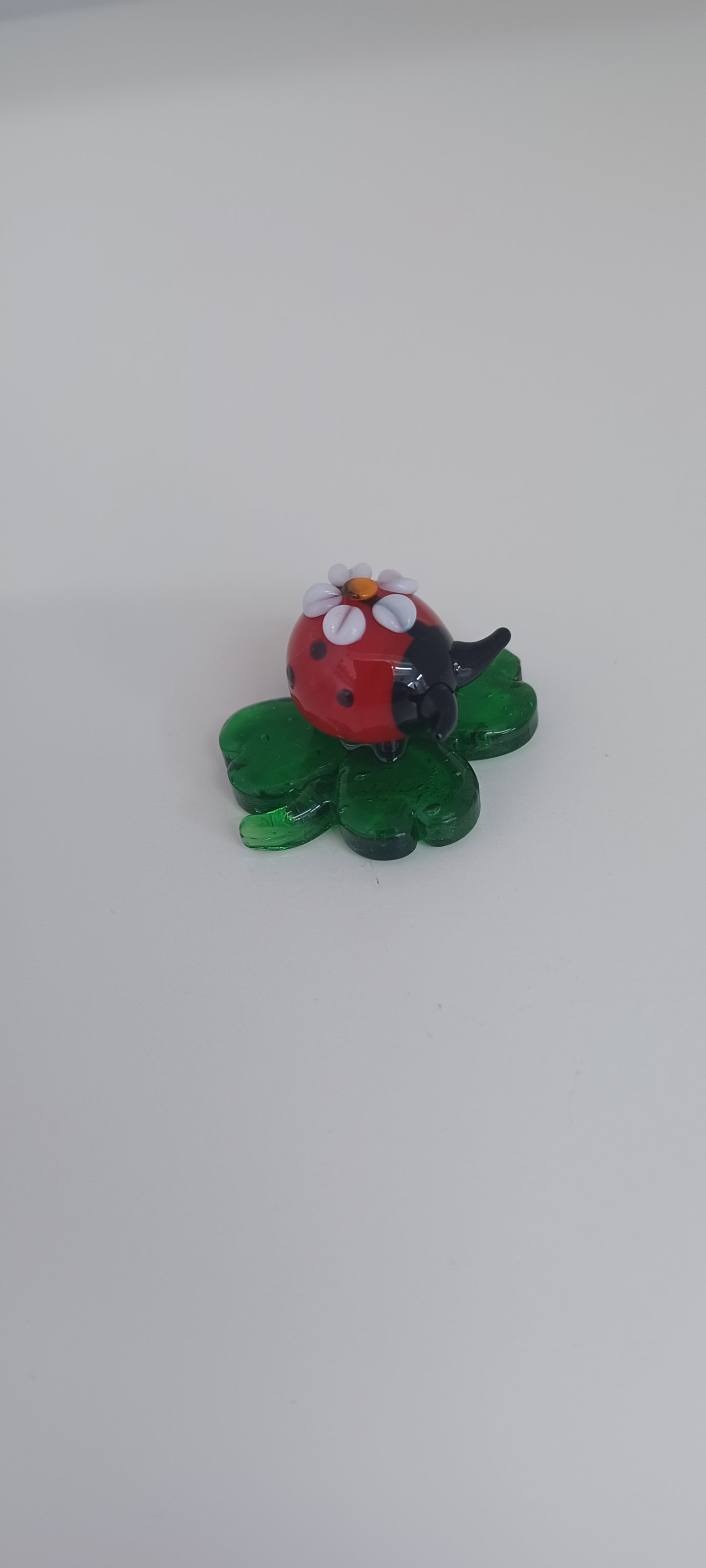 Glass Ladybird