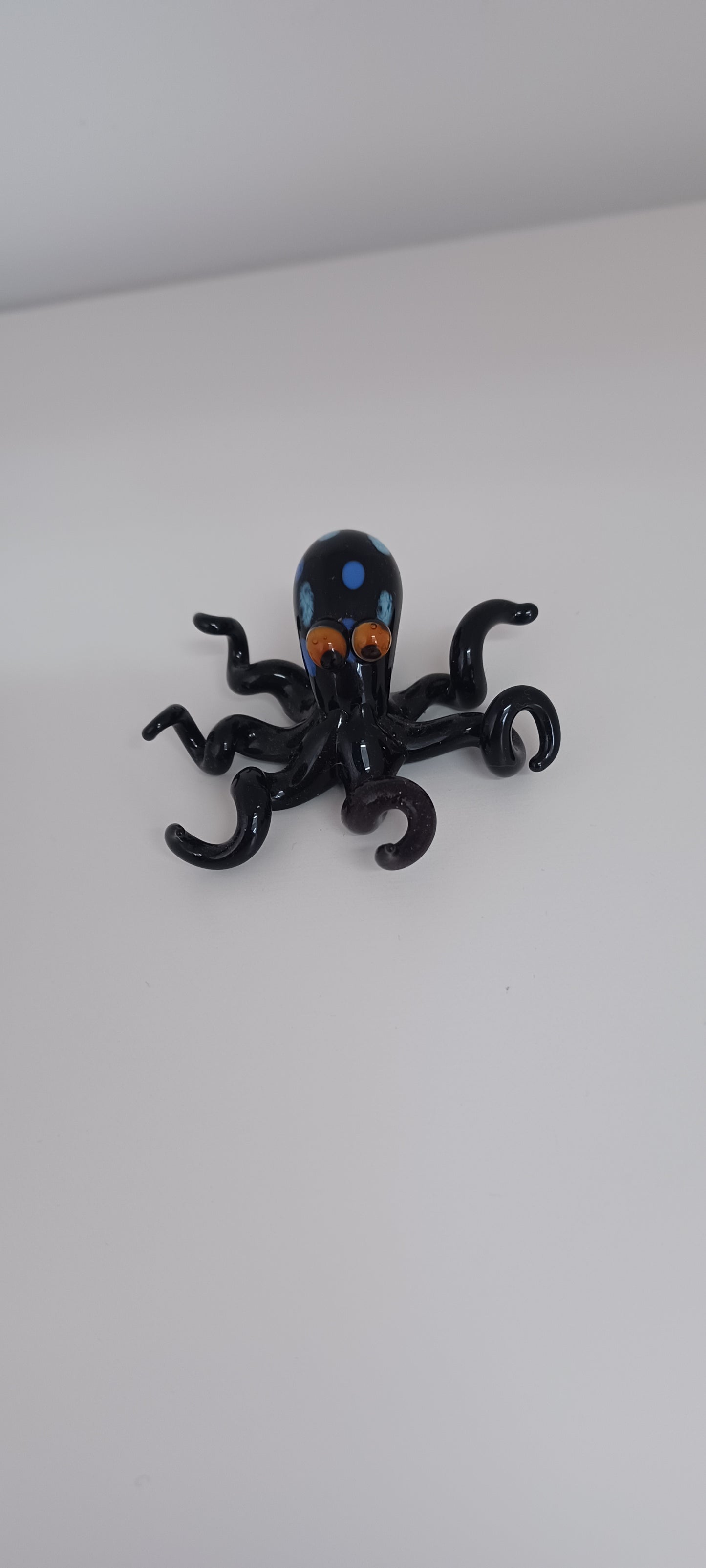 Glass Octopus