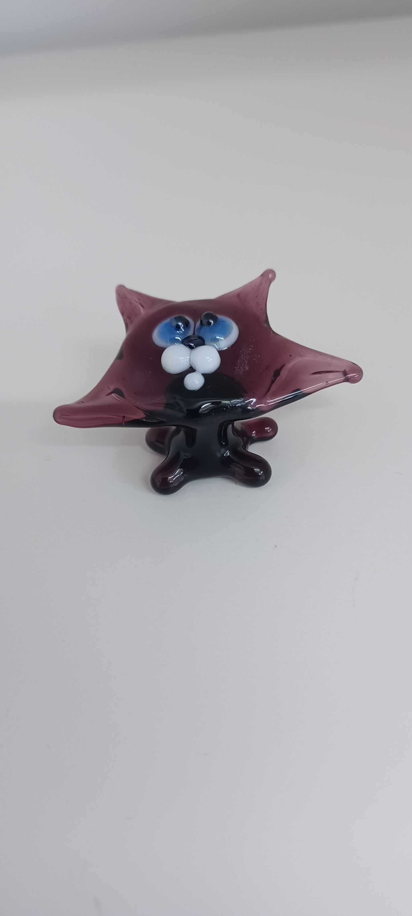 Glass Cat