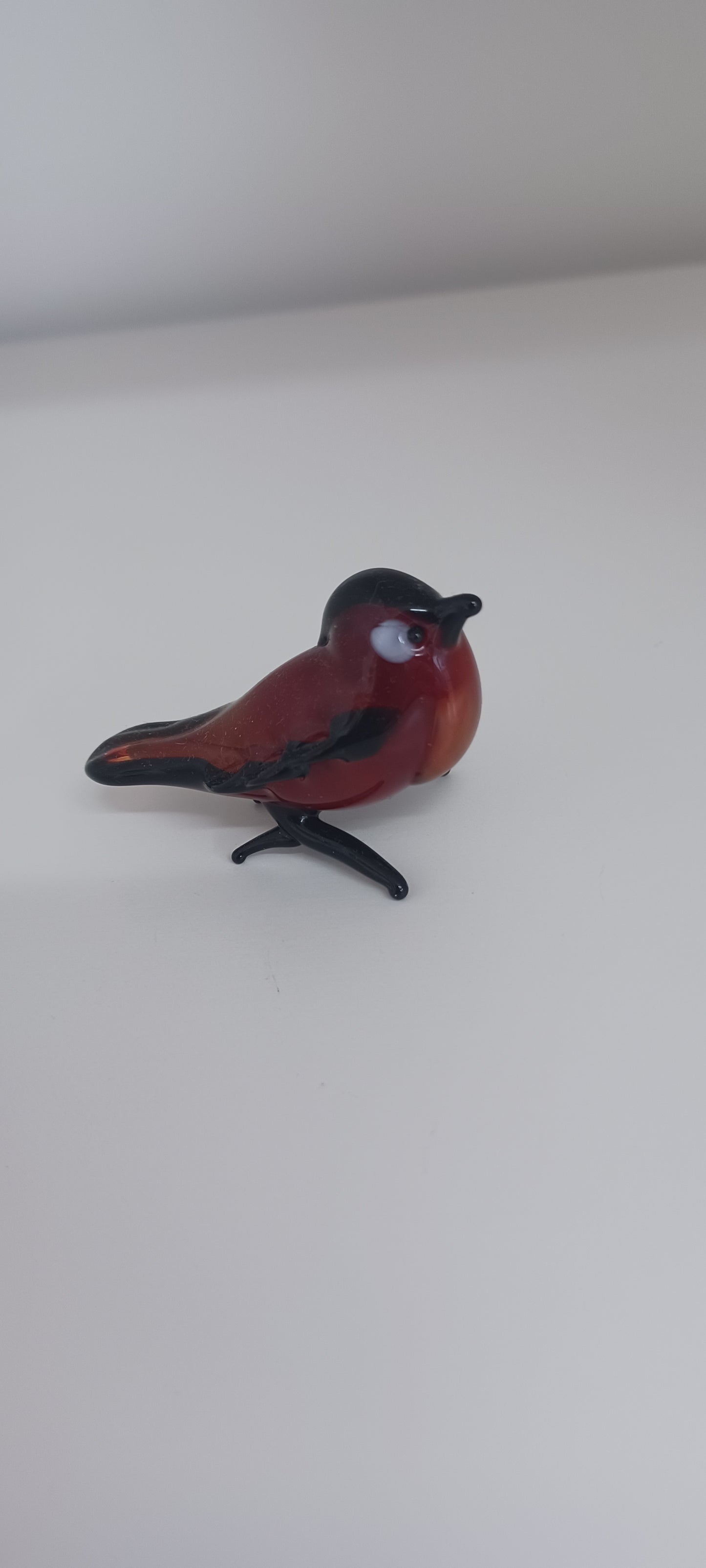 Glass Robin