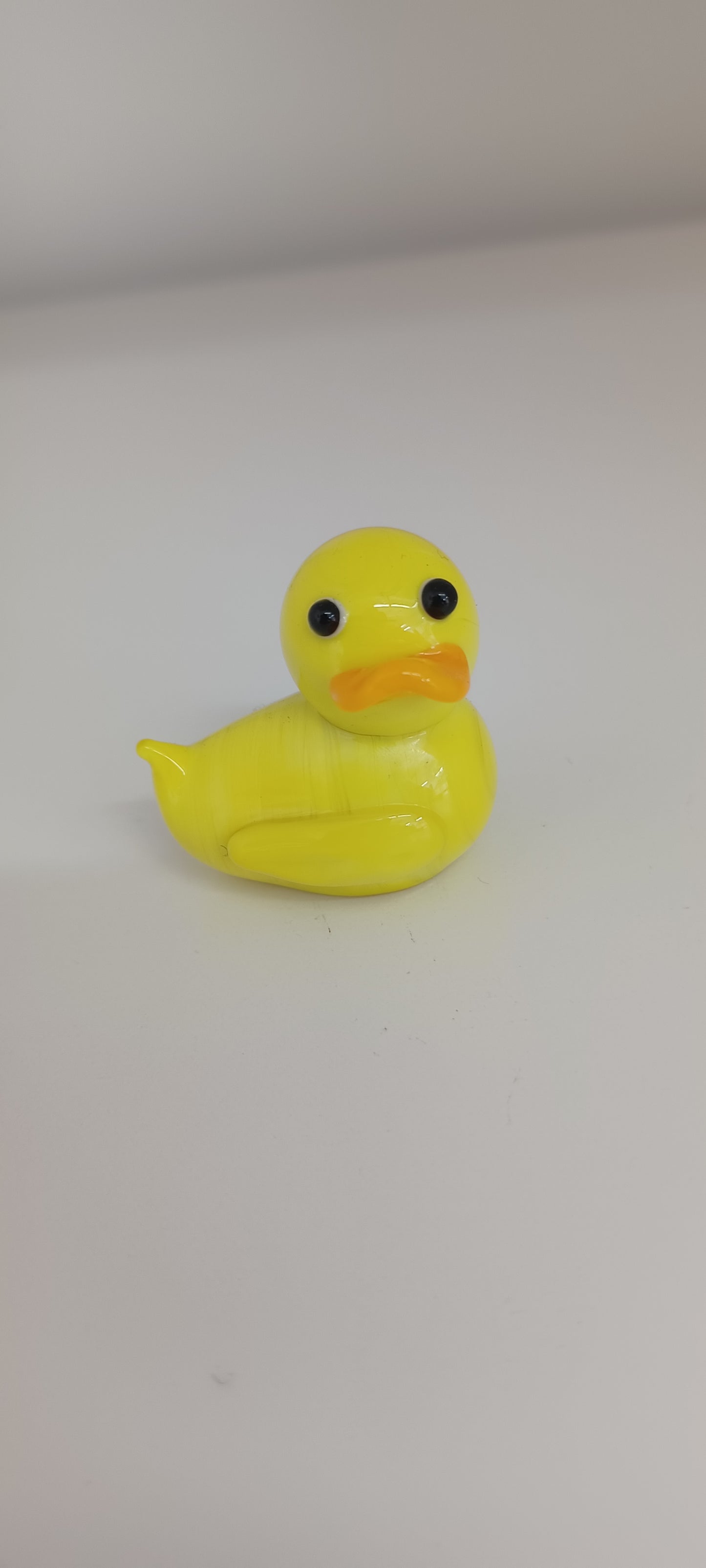 Glass Duck