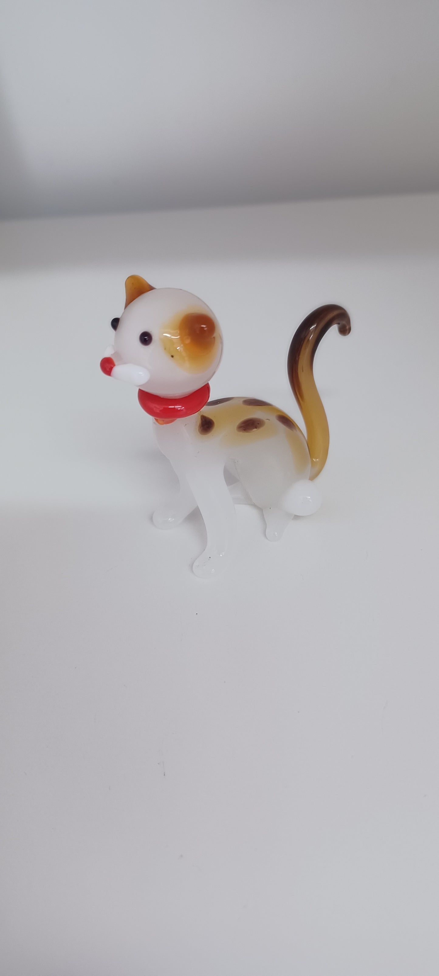 Glass Cat
